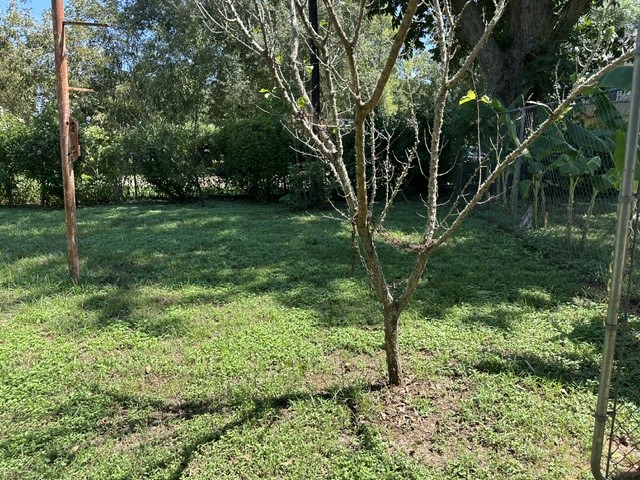 809 E Clark Avenue Property Photo 40