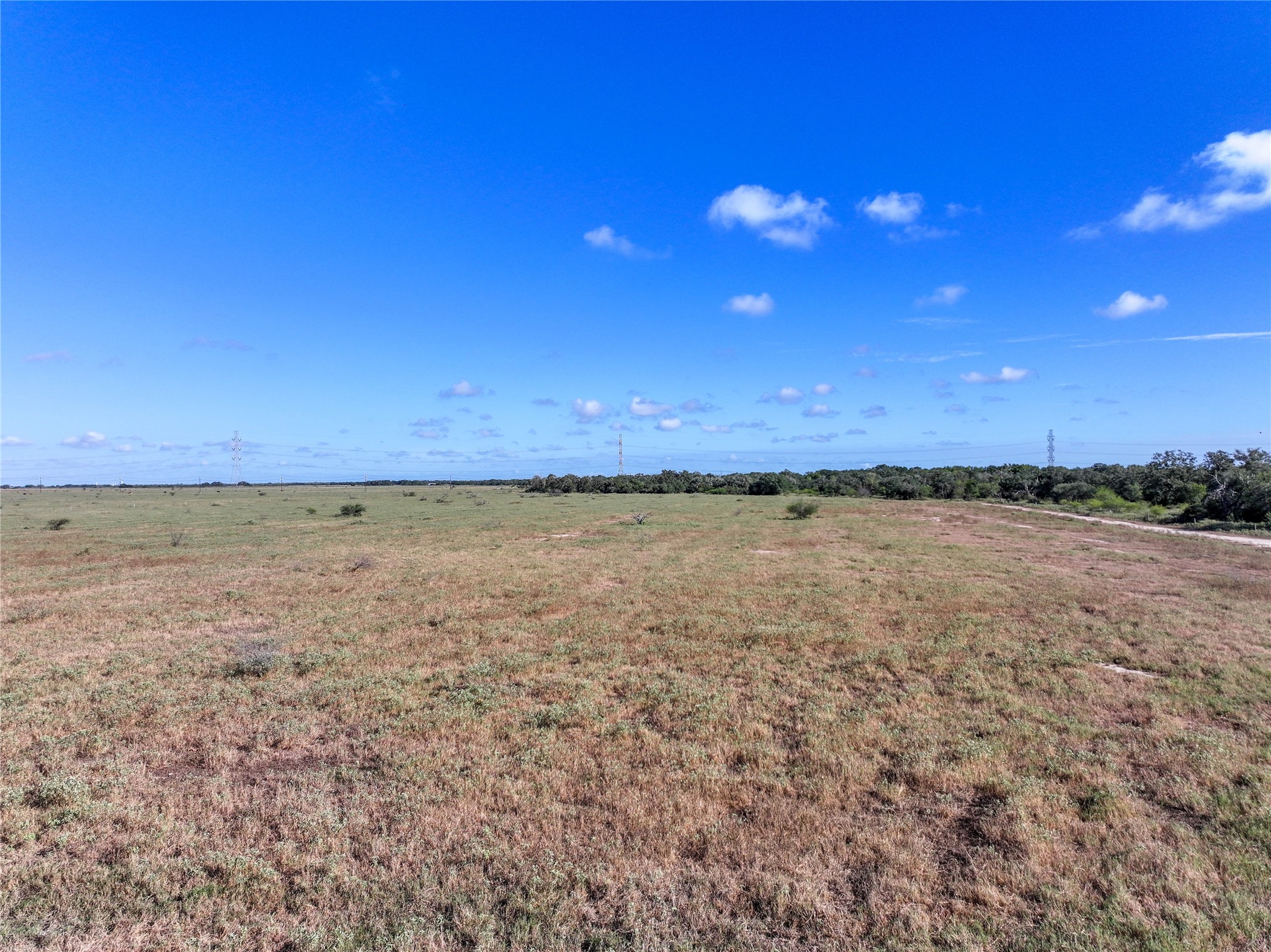0 County Road 273 Property Photo 12