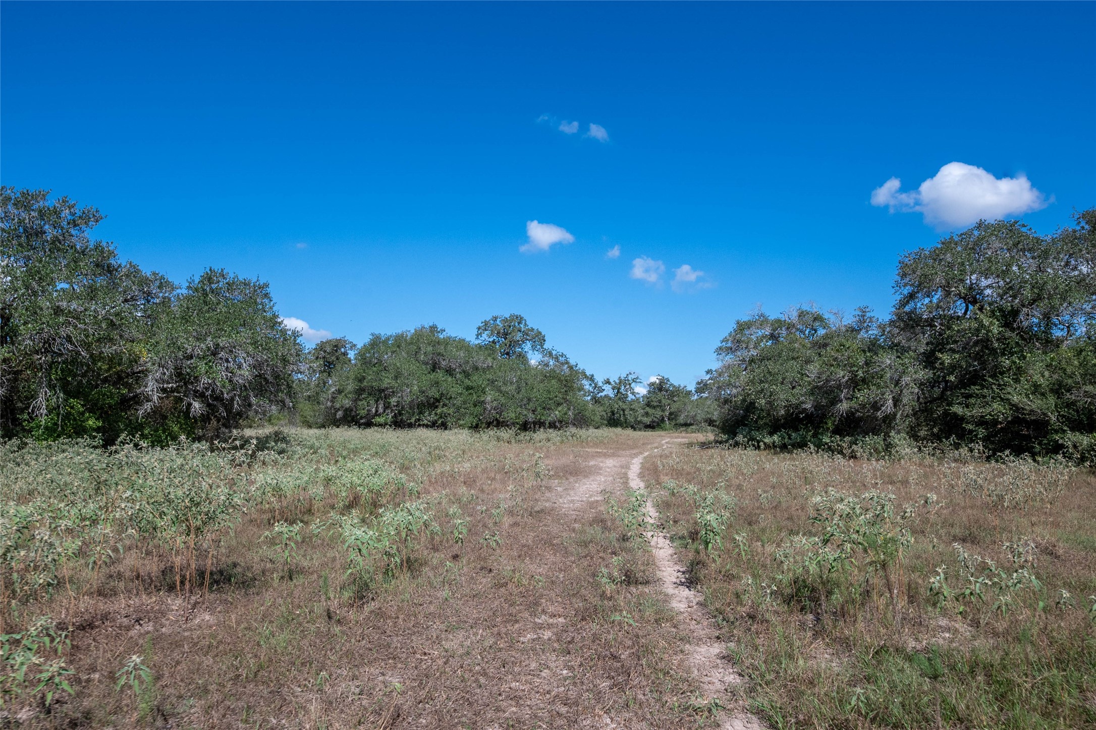 0 County Road 273 Property Photo 26
