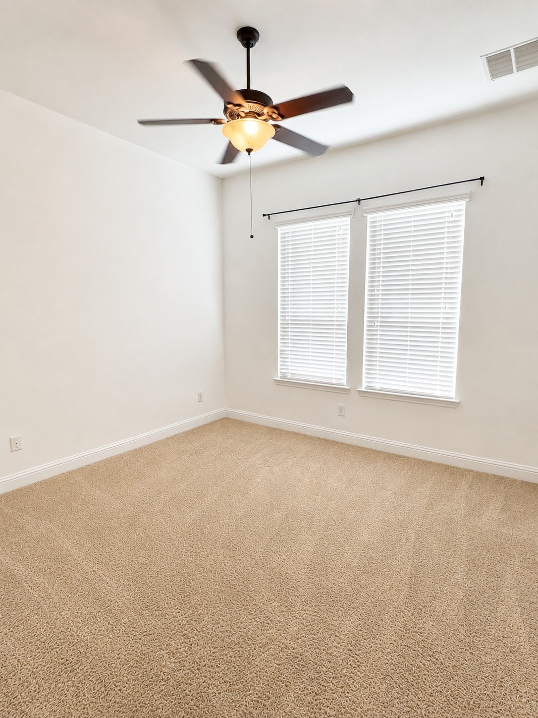 20507 Kurz Point Drive Property Photo 24