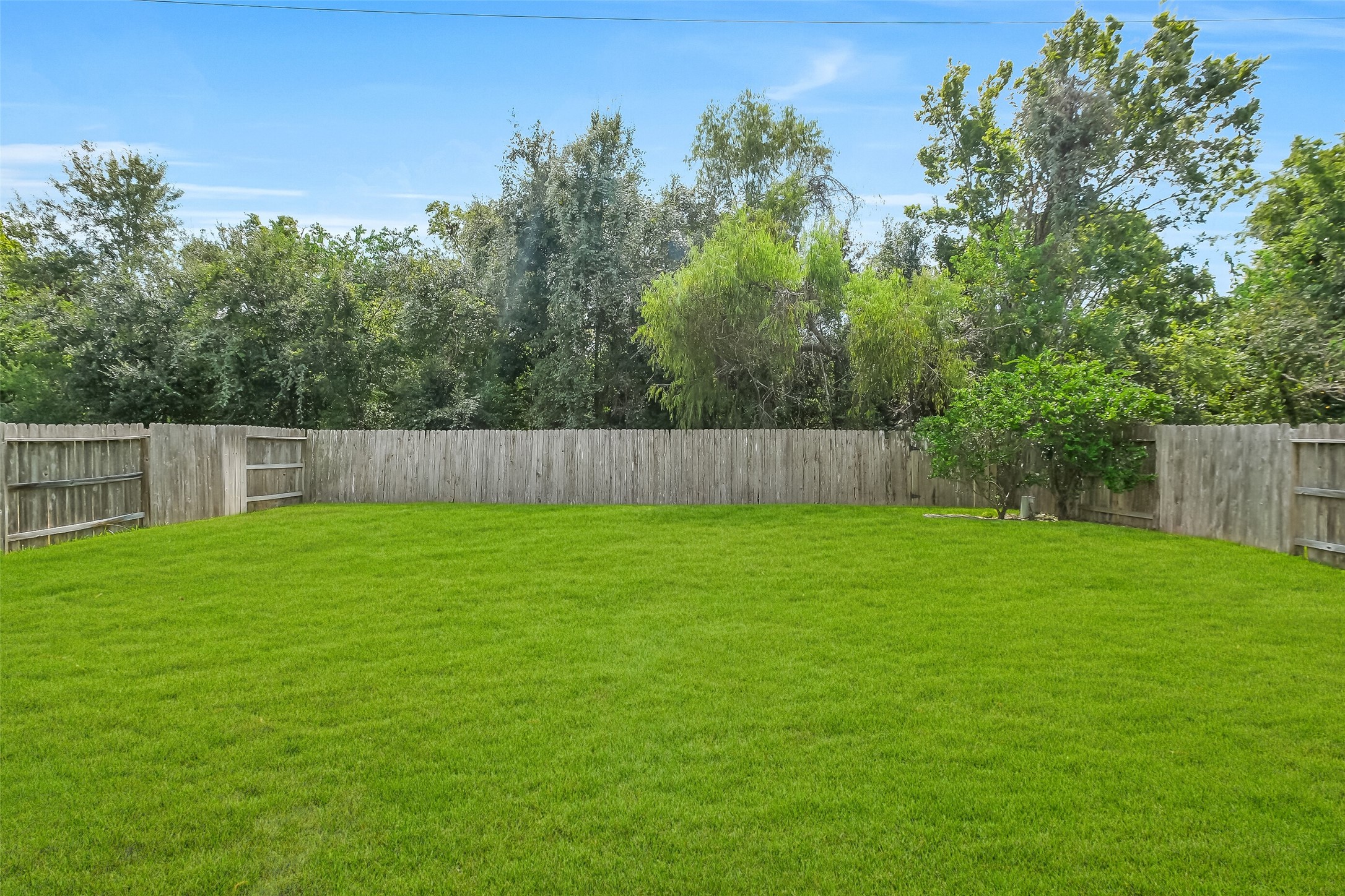 13104 Hollow Garden Lane Property Photo 43