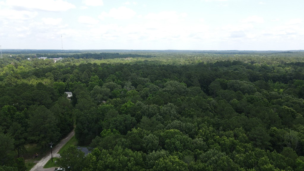 166 Austin Property Photo 1