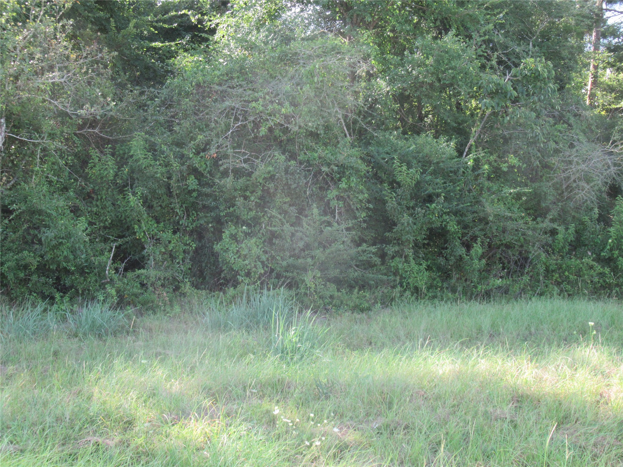 Tbd Hwy 190 E Property Photo 4
