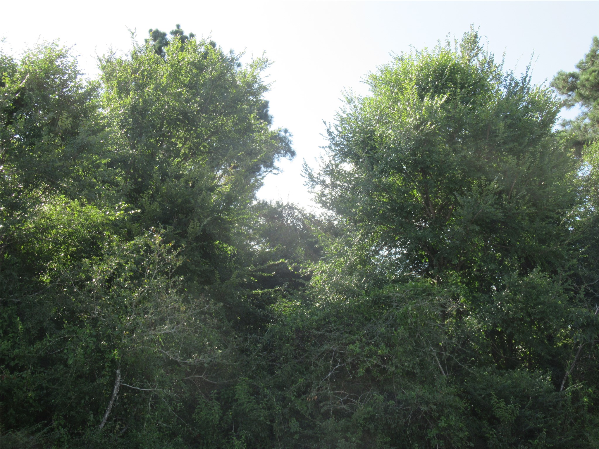 Tbd Hwy 190 E Property Photo 8