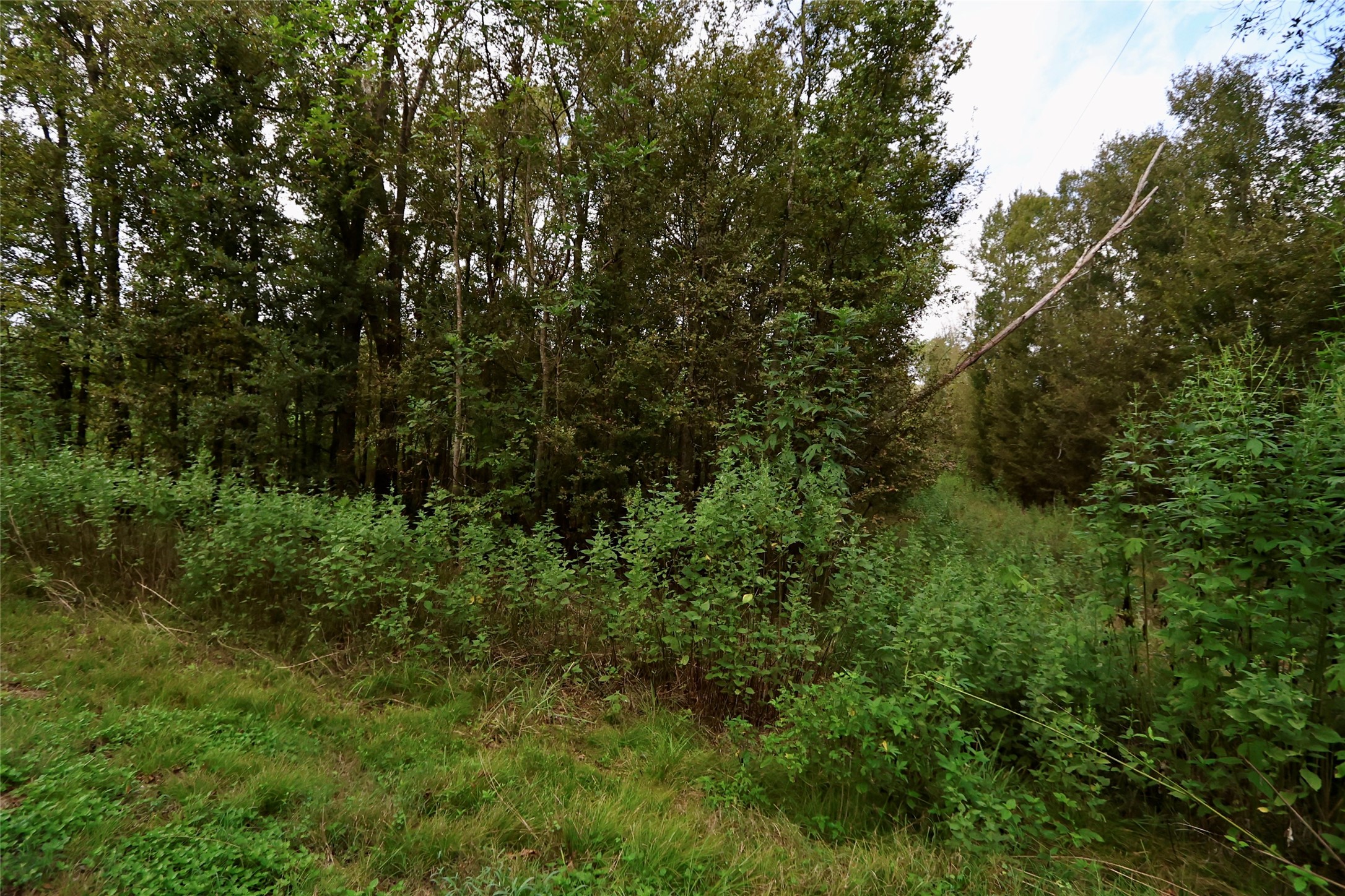 126 Kings Point Rd Property Photo 5