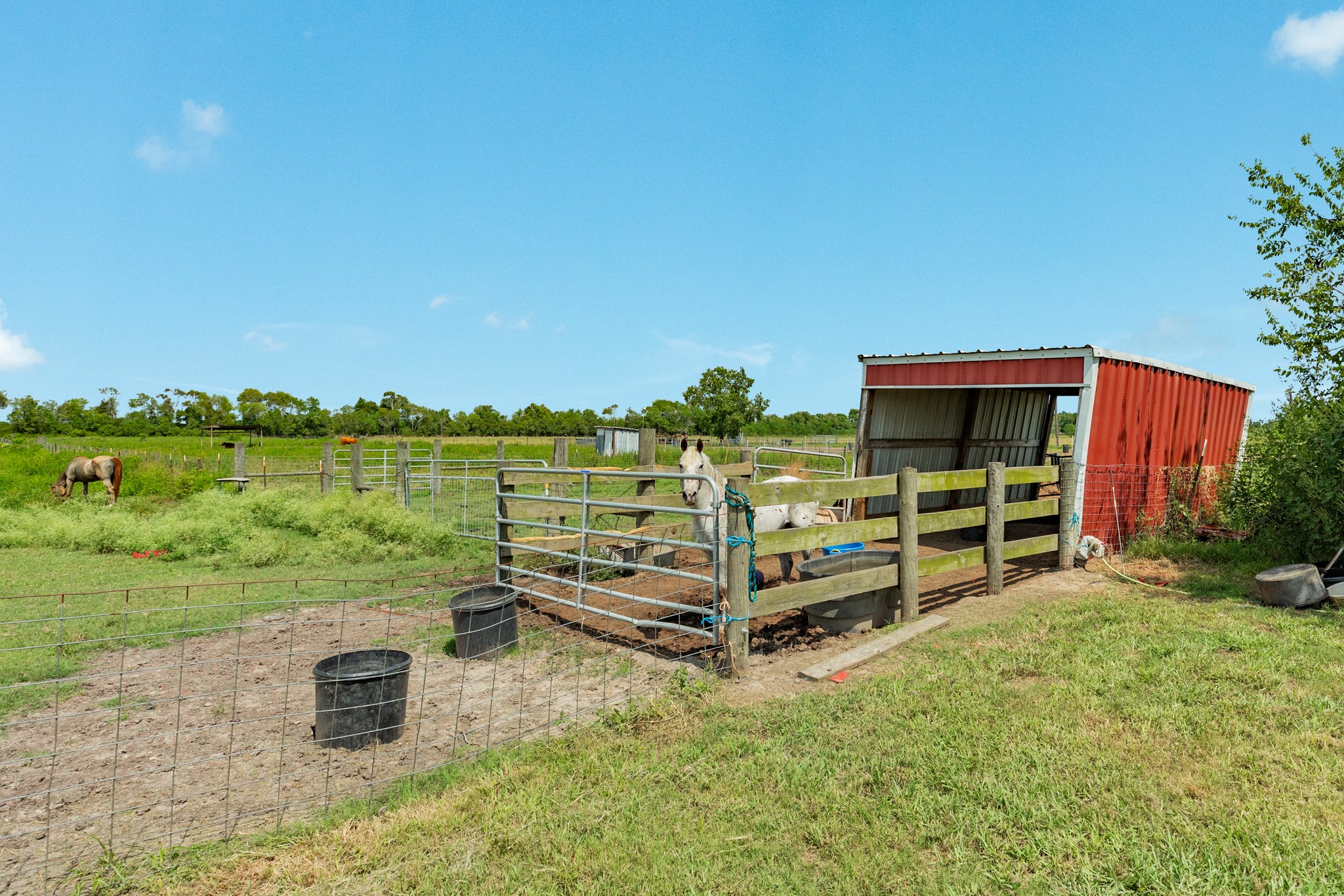 17830 County Road 207 Property Photo 38