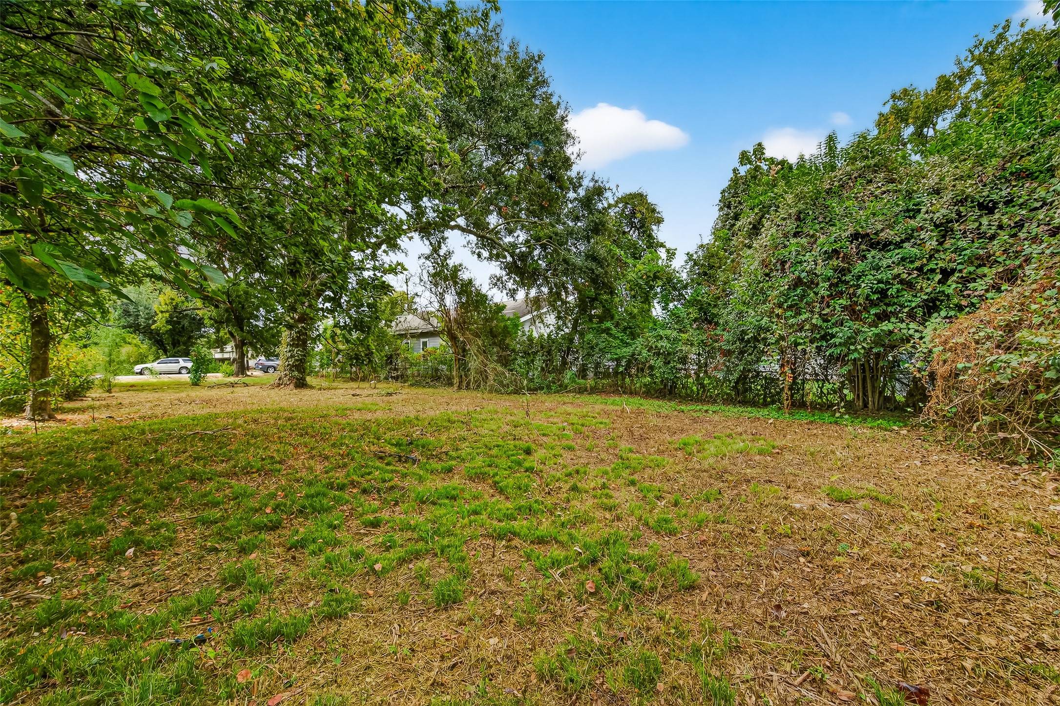 4647 Maggie Street Property Photo 4