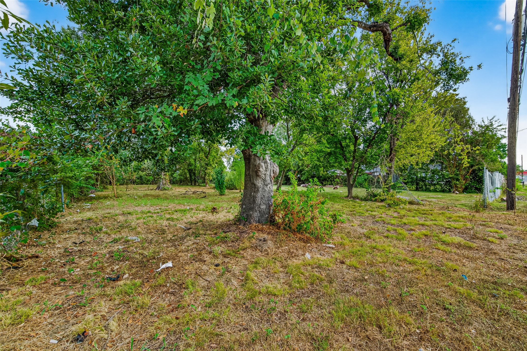 4647 Maggie Street Property Photo 11