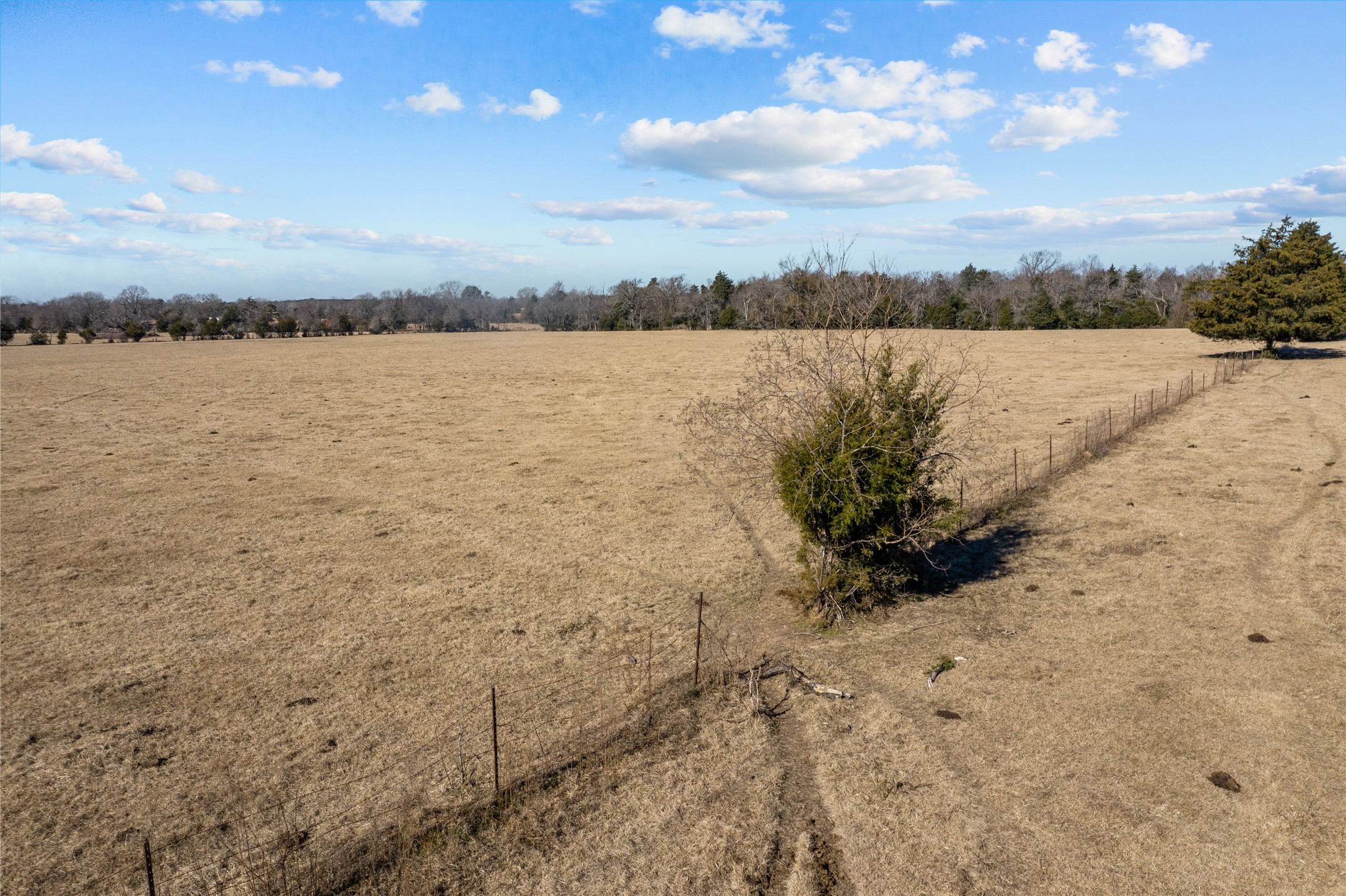 2538 An County Road 2211 Property Photo 4