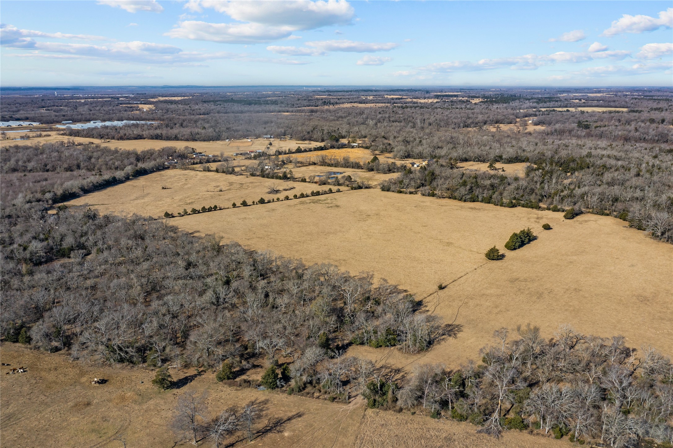 2538 An County Road 2211 Property Photo 6