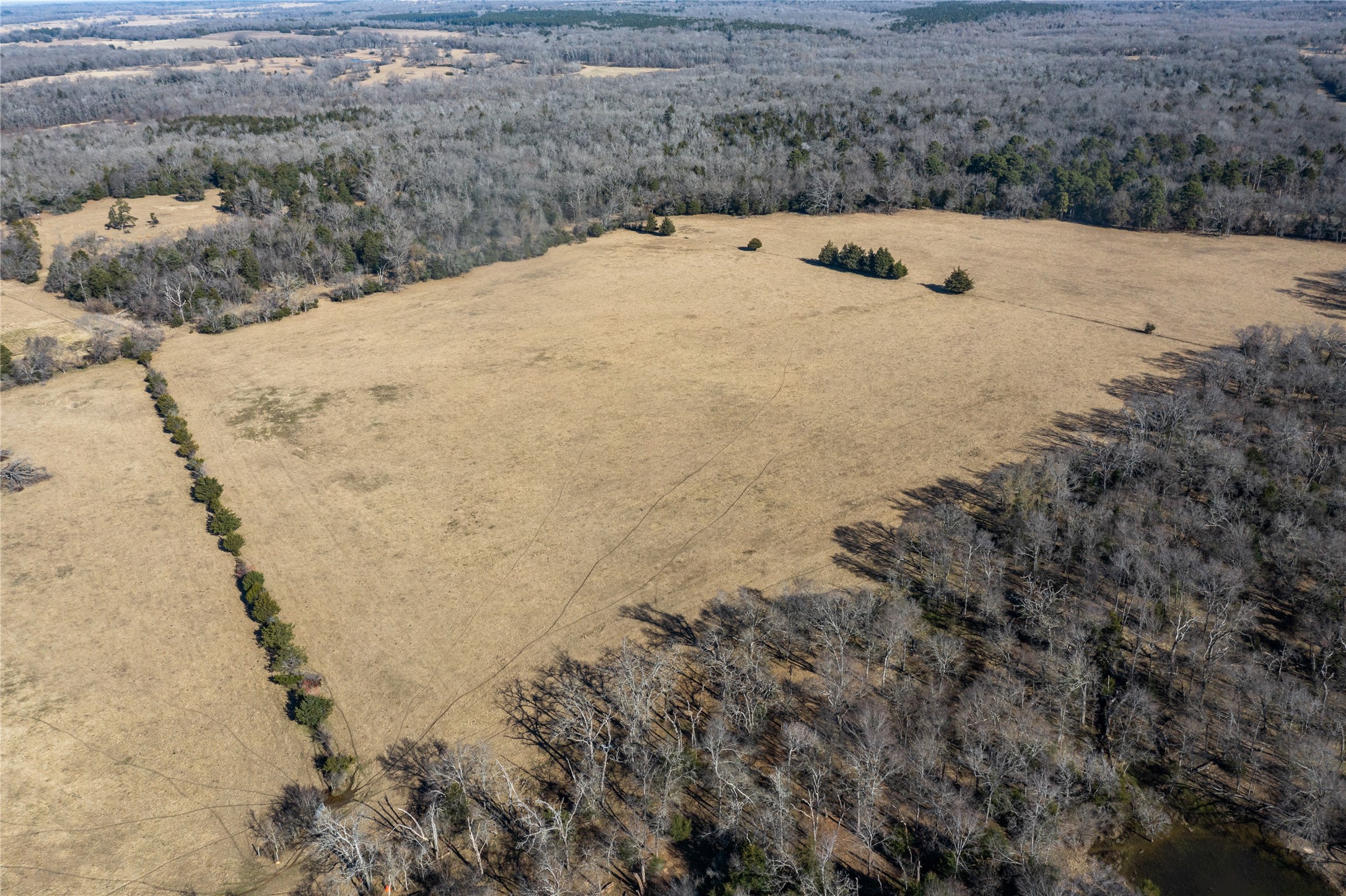 2538 An County Road 2211 Property Photo 9