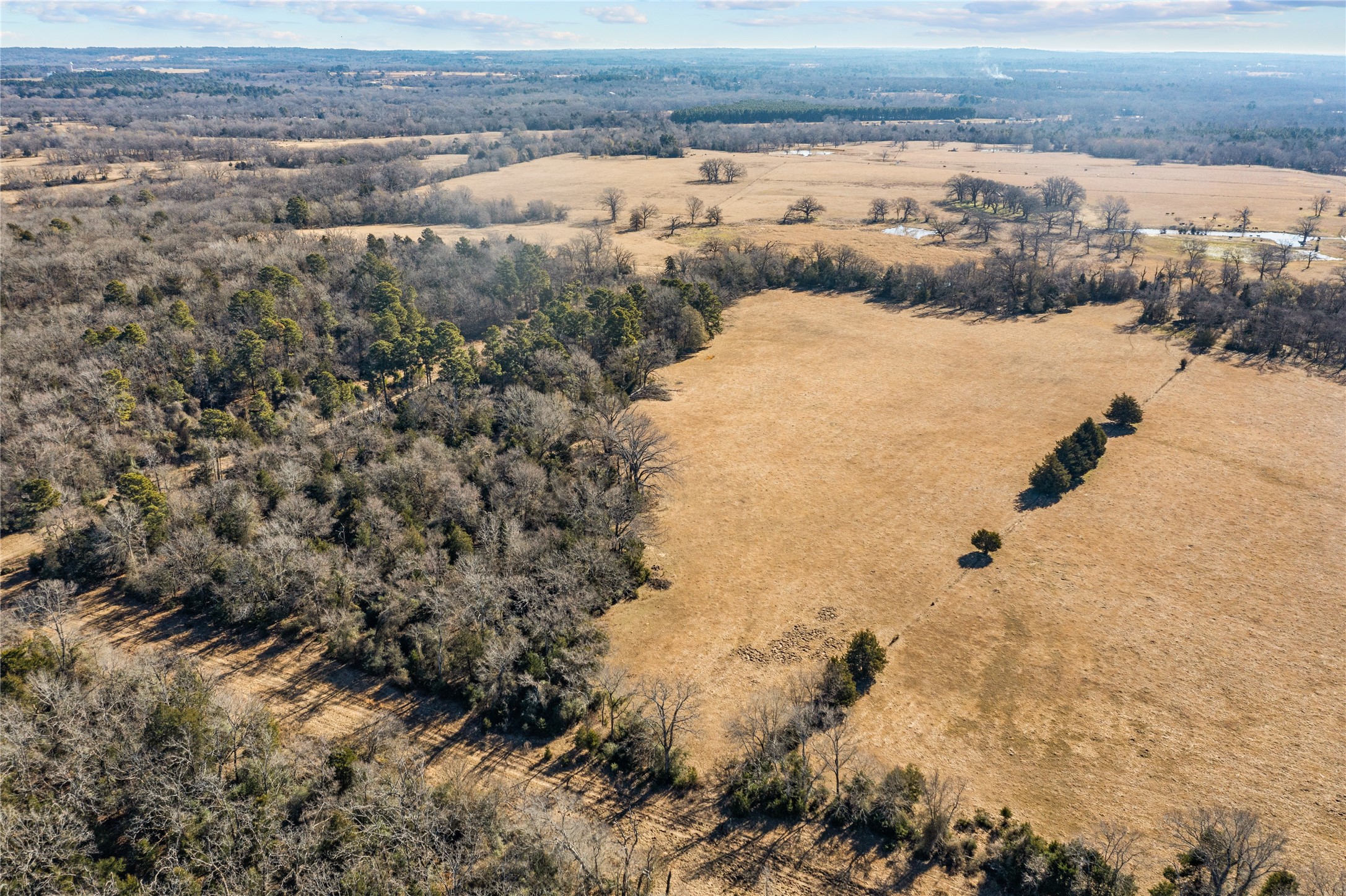 2538 An County Road 2211 Property Photo 13