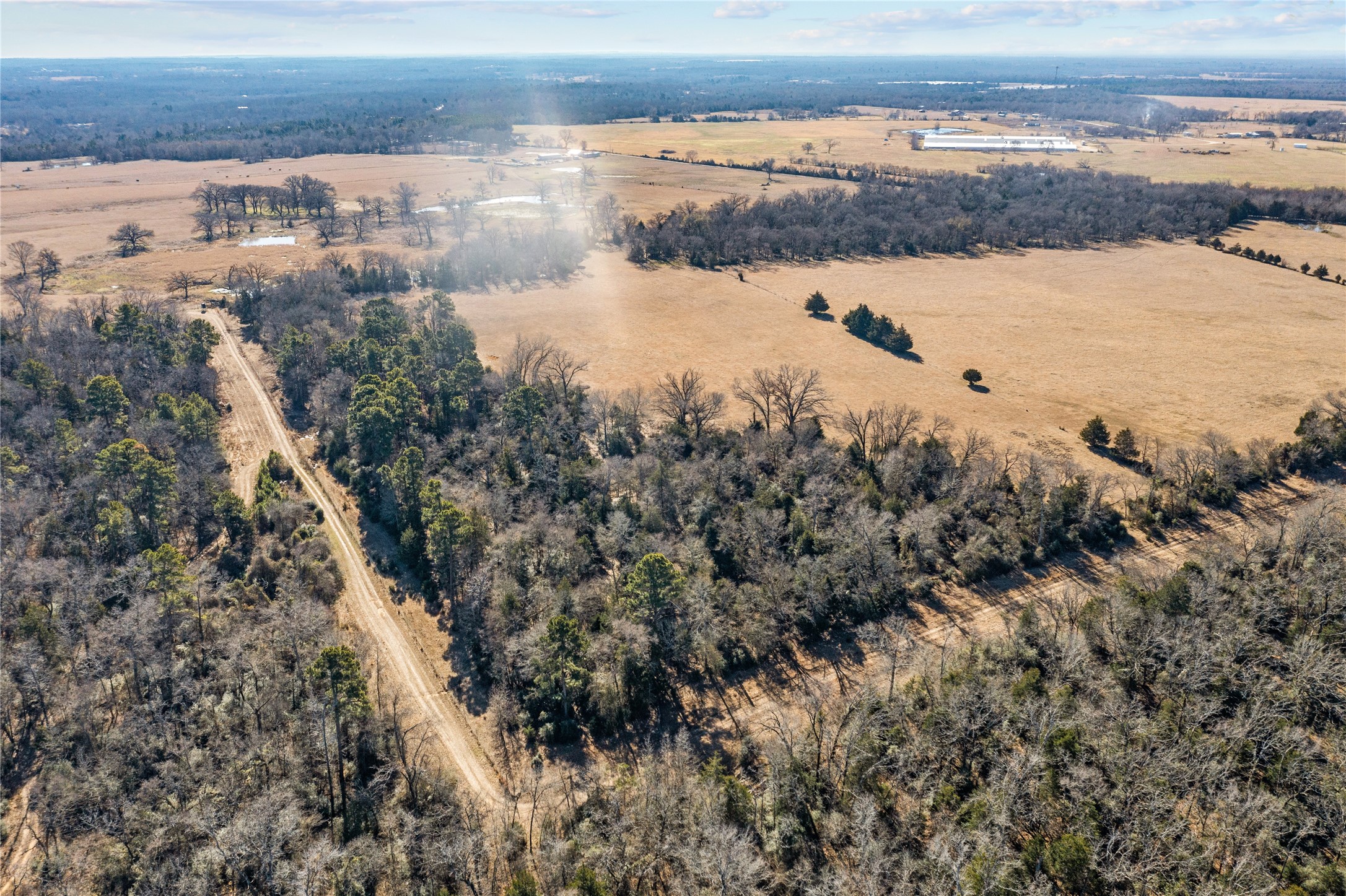 2538 An County Road 2211 Property Photo 17