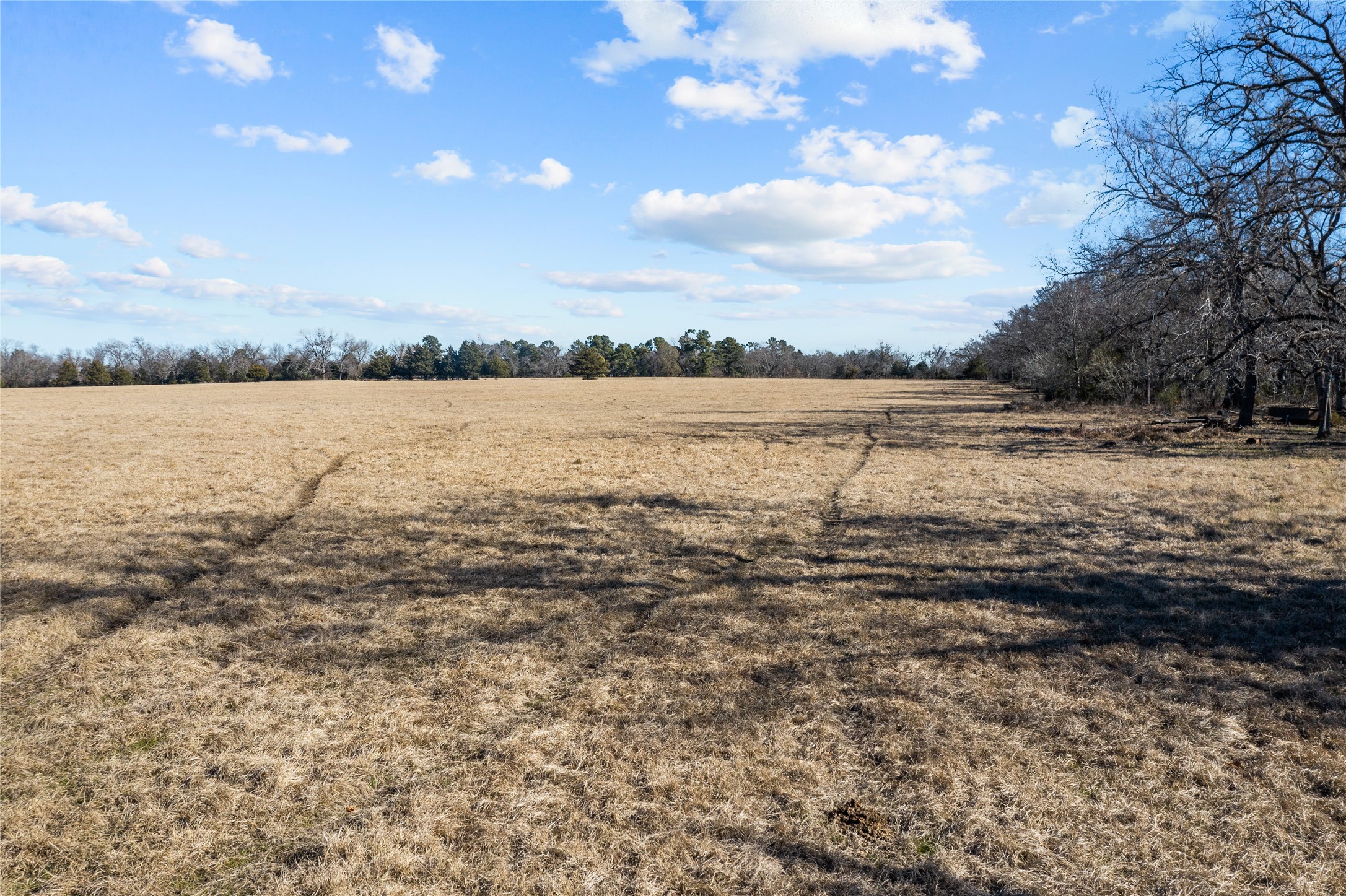 2538 An County Road 2211 Property Photo 22
