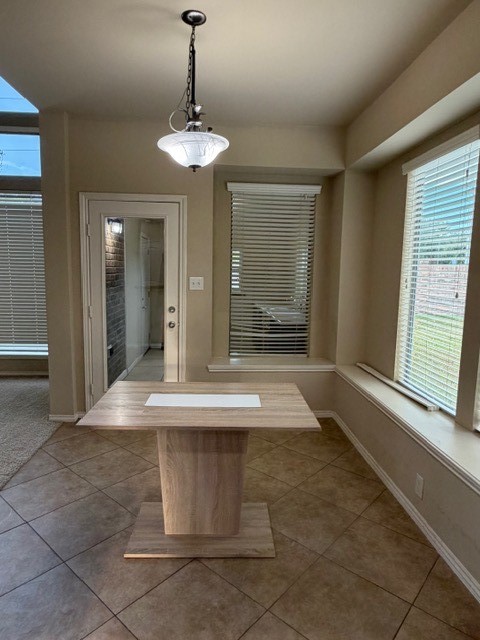13419 Orchard Harvest Drive Property Photo 8