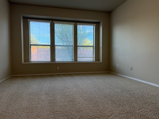 13419 Orchard Harvest Drive Property Photo 14