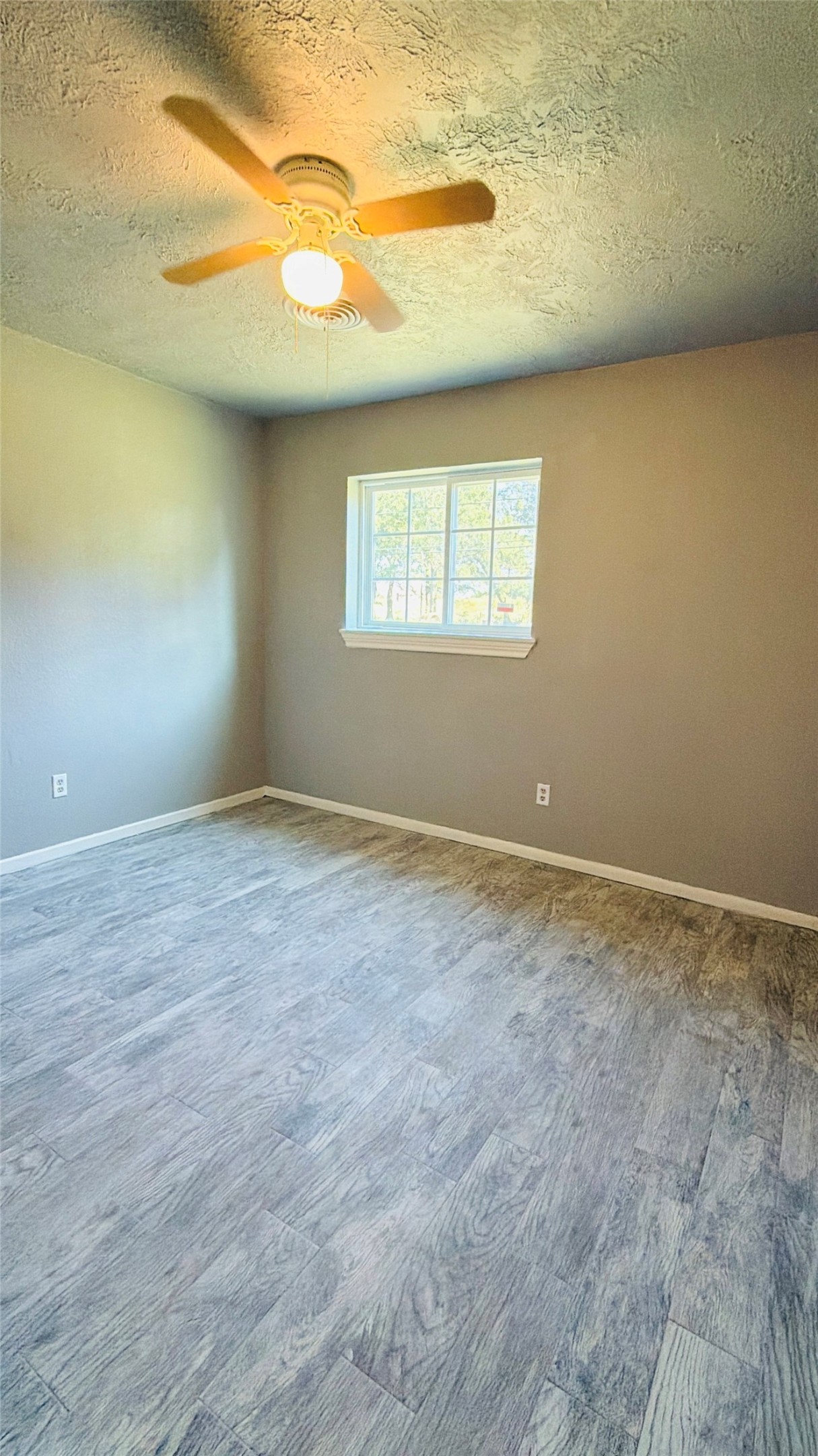 519 Magnolia Avenue Property Photo 16