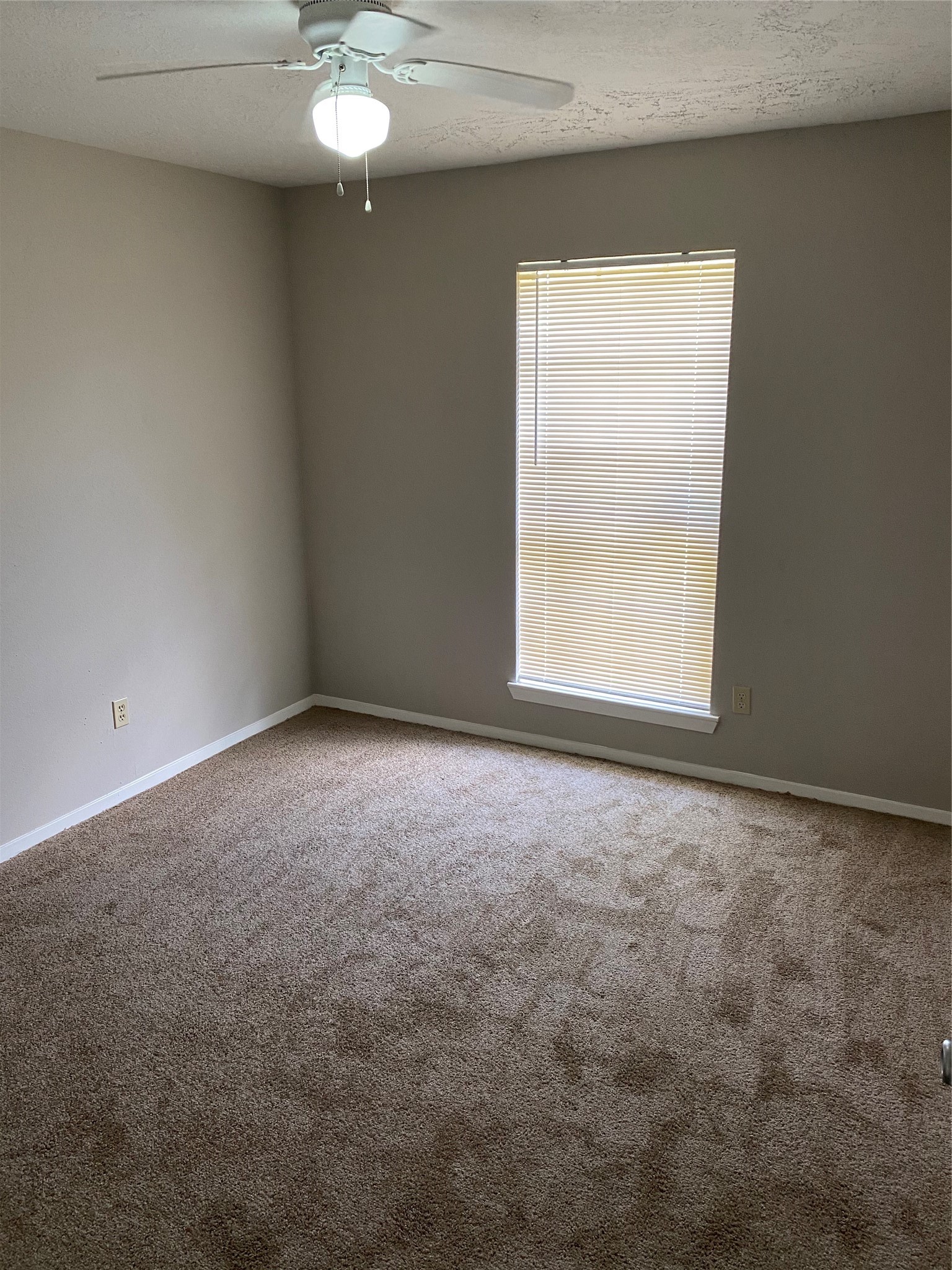 7547 Winkle Wood Lane Property Photo 10