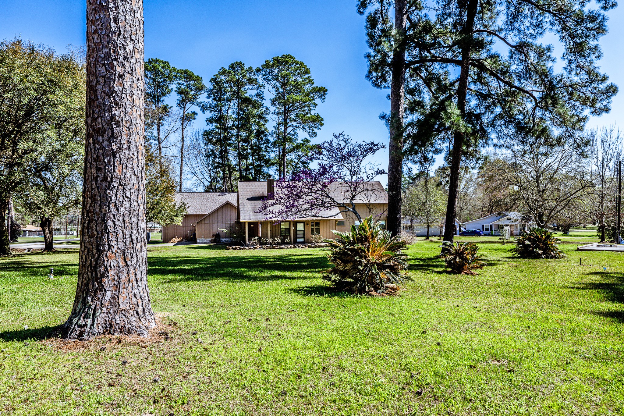 191 Timber Bay Drive Property Photo 41