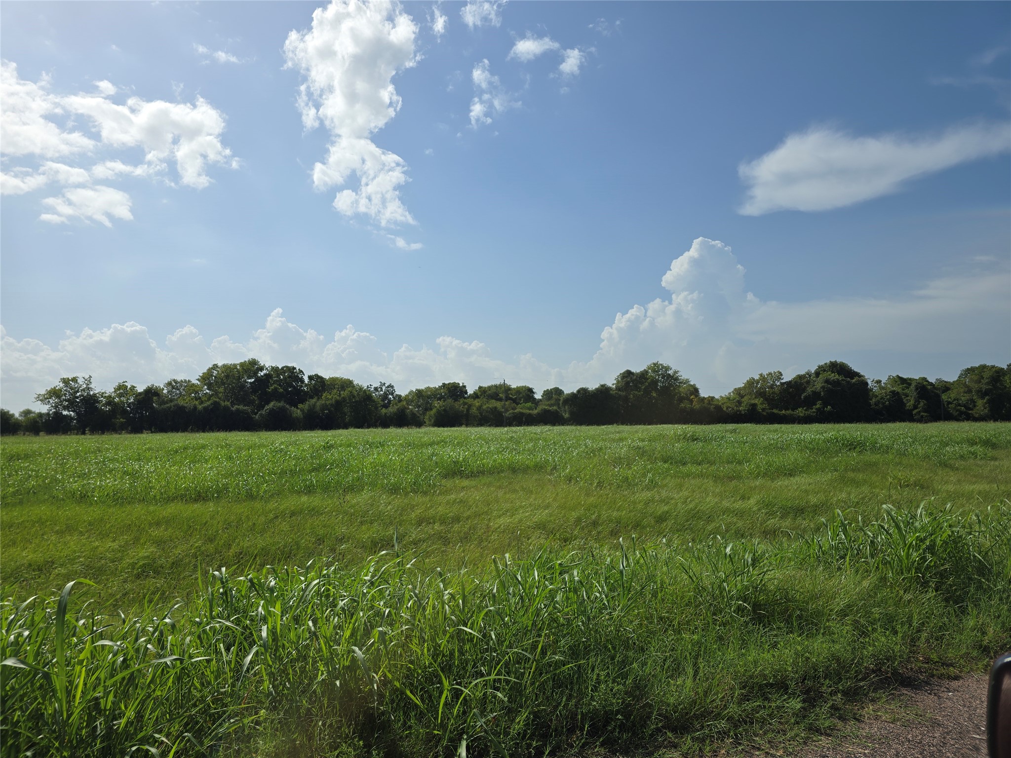 17118 Dewberry Lane Property Photo 2