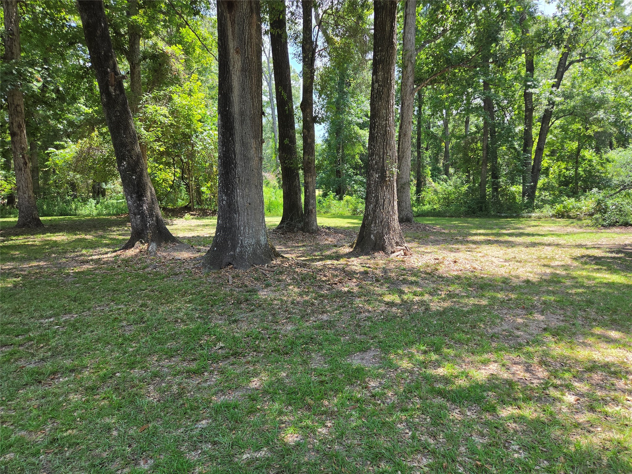 22647 Kelly Drive Property Photo 9