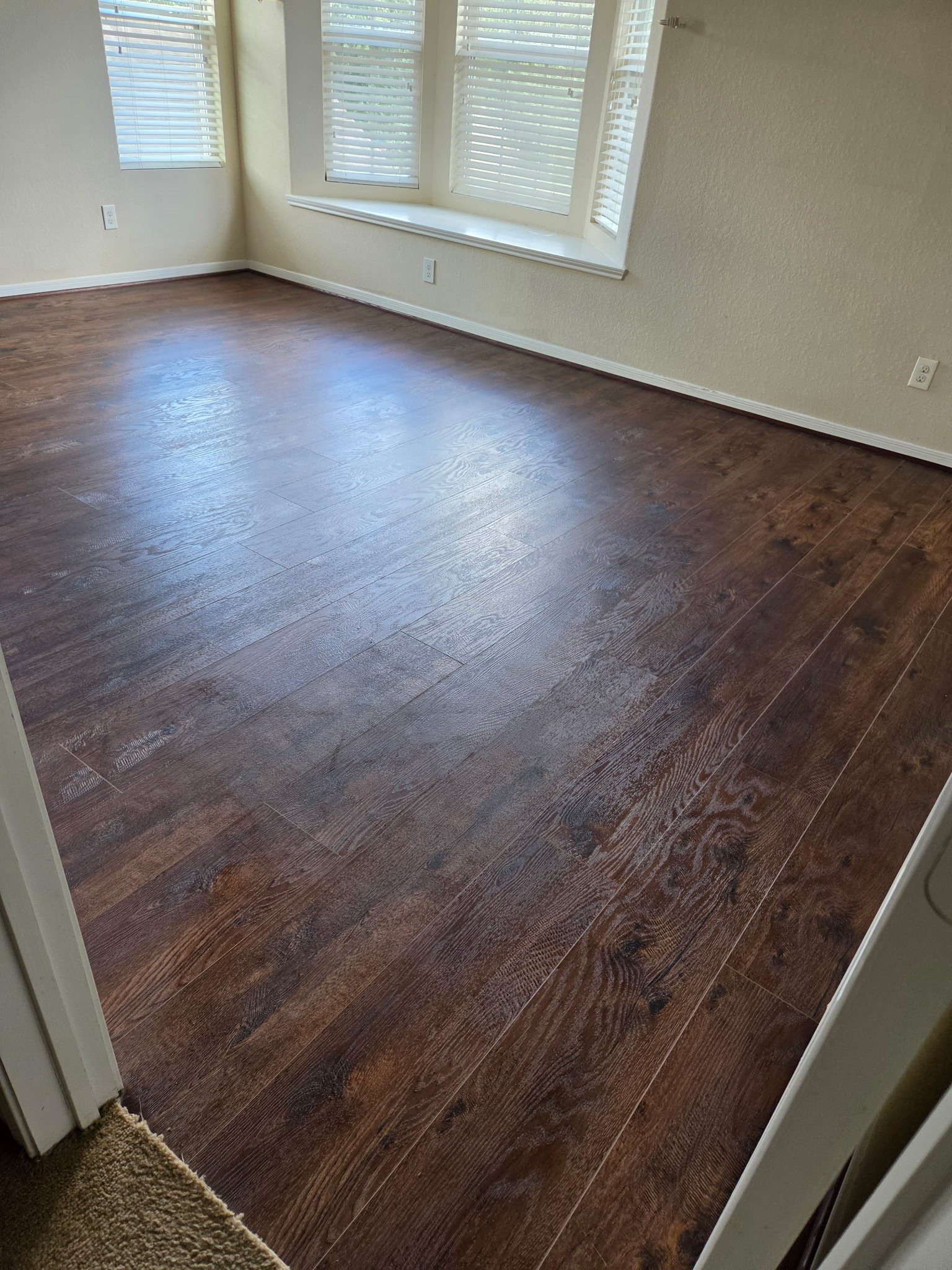 11507 Baldwin Spruce Trail Property Photo 23