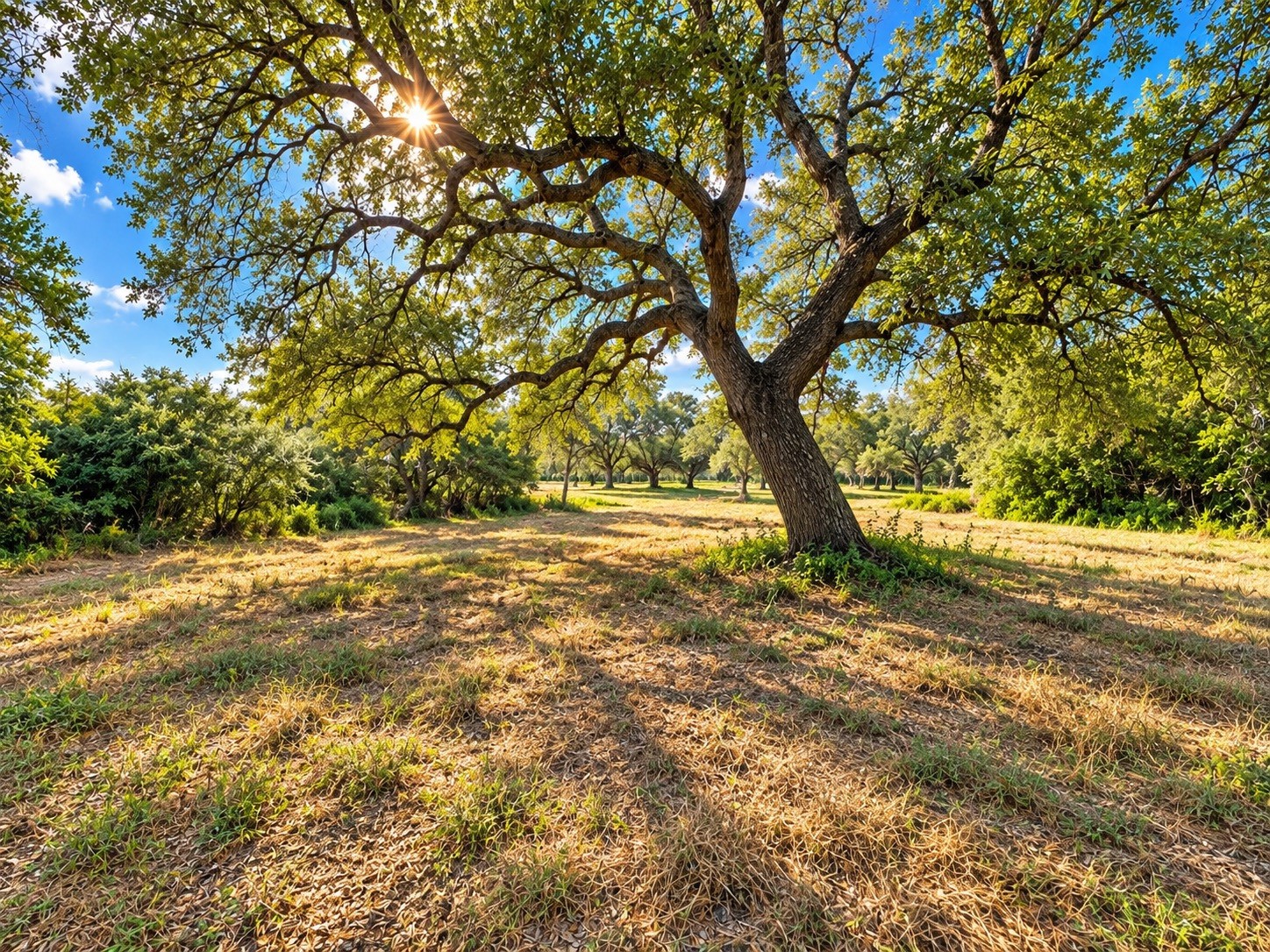 6122 Sand Rock Road