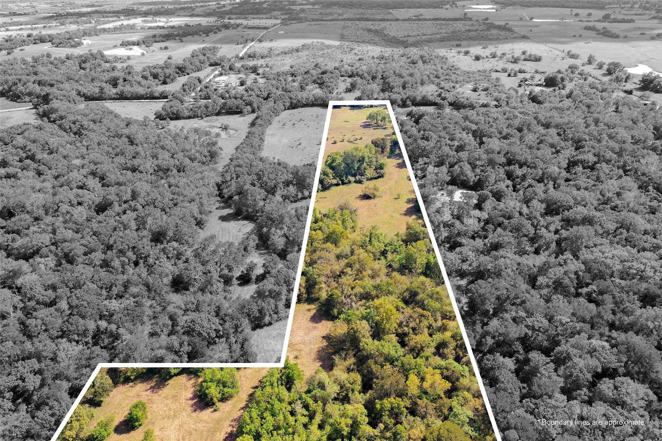 Tbd Whitman Road Property Photo 7