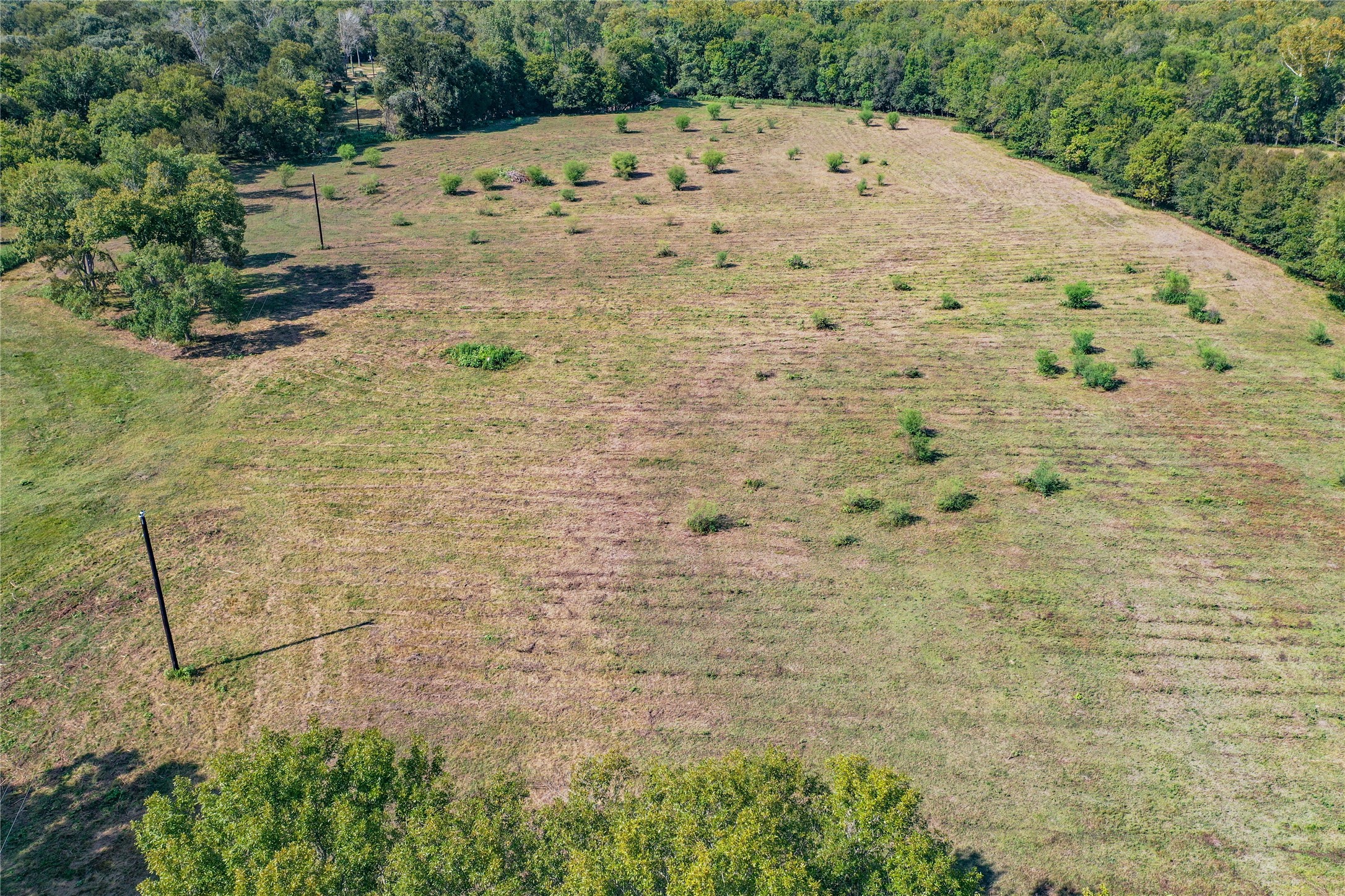Tbd Whitman Road Property Photo 9