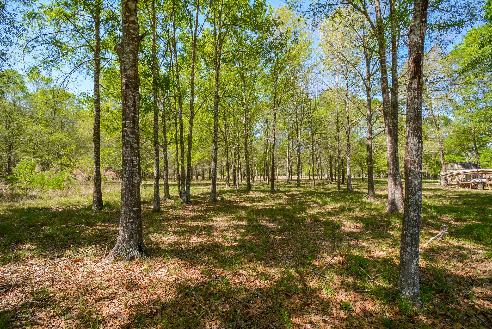 Tbd Rainbow Lane Property Photo 6