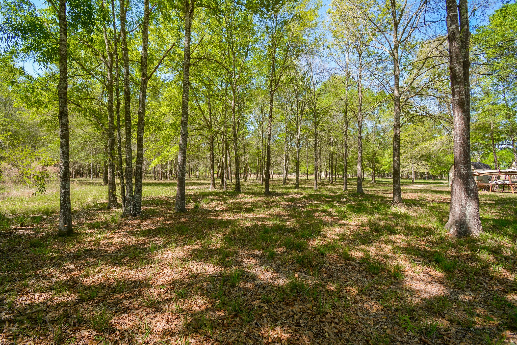 Tbd Rainbow Lane Property Photo 7
