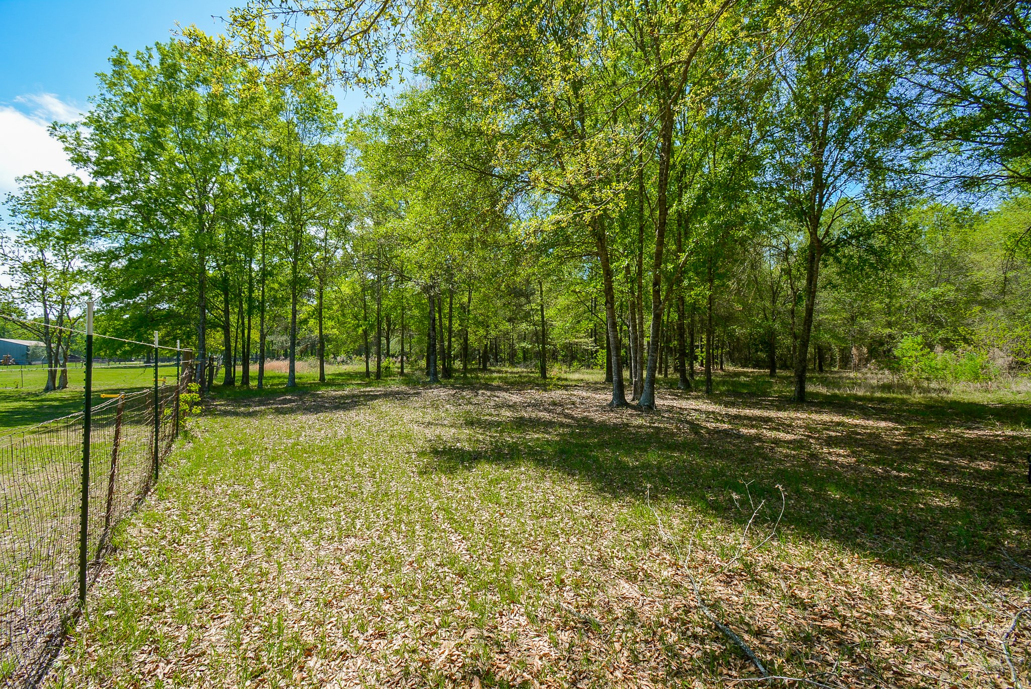 Tbd Rainbow Lane Property Photo 8