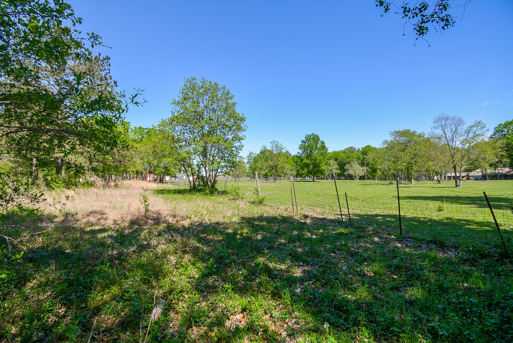 Tbd Rainbow Lane Property Photo 9