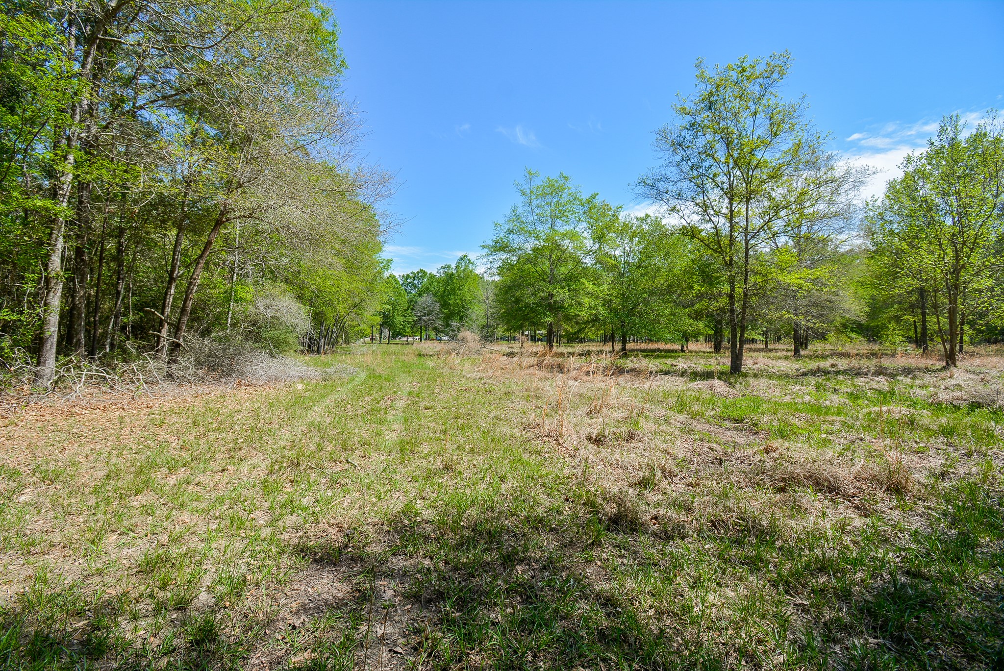 Tbd Rainbow Lane Property Photo 11