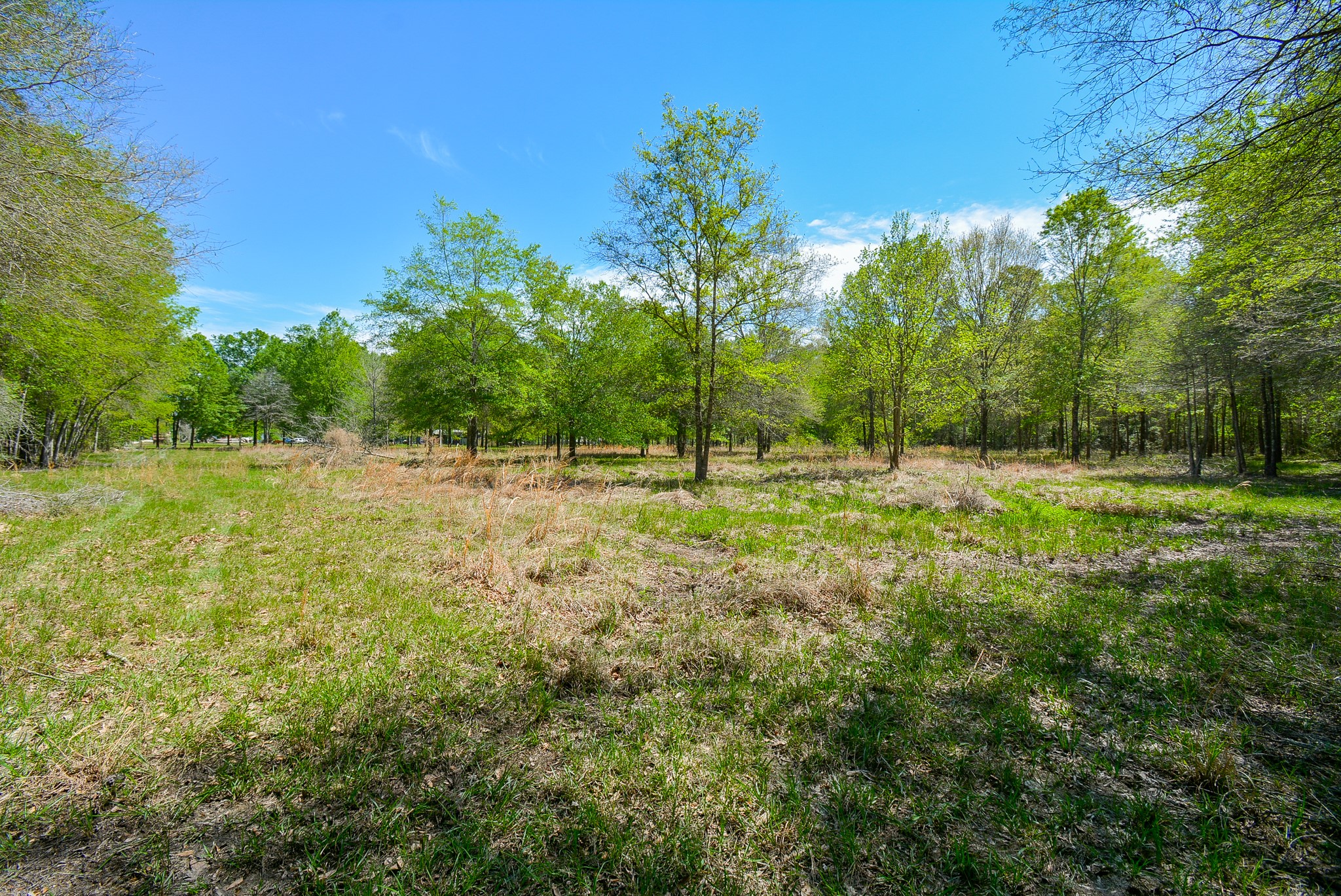 Tbd Rainbow Lane Property Photo 12