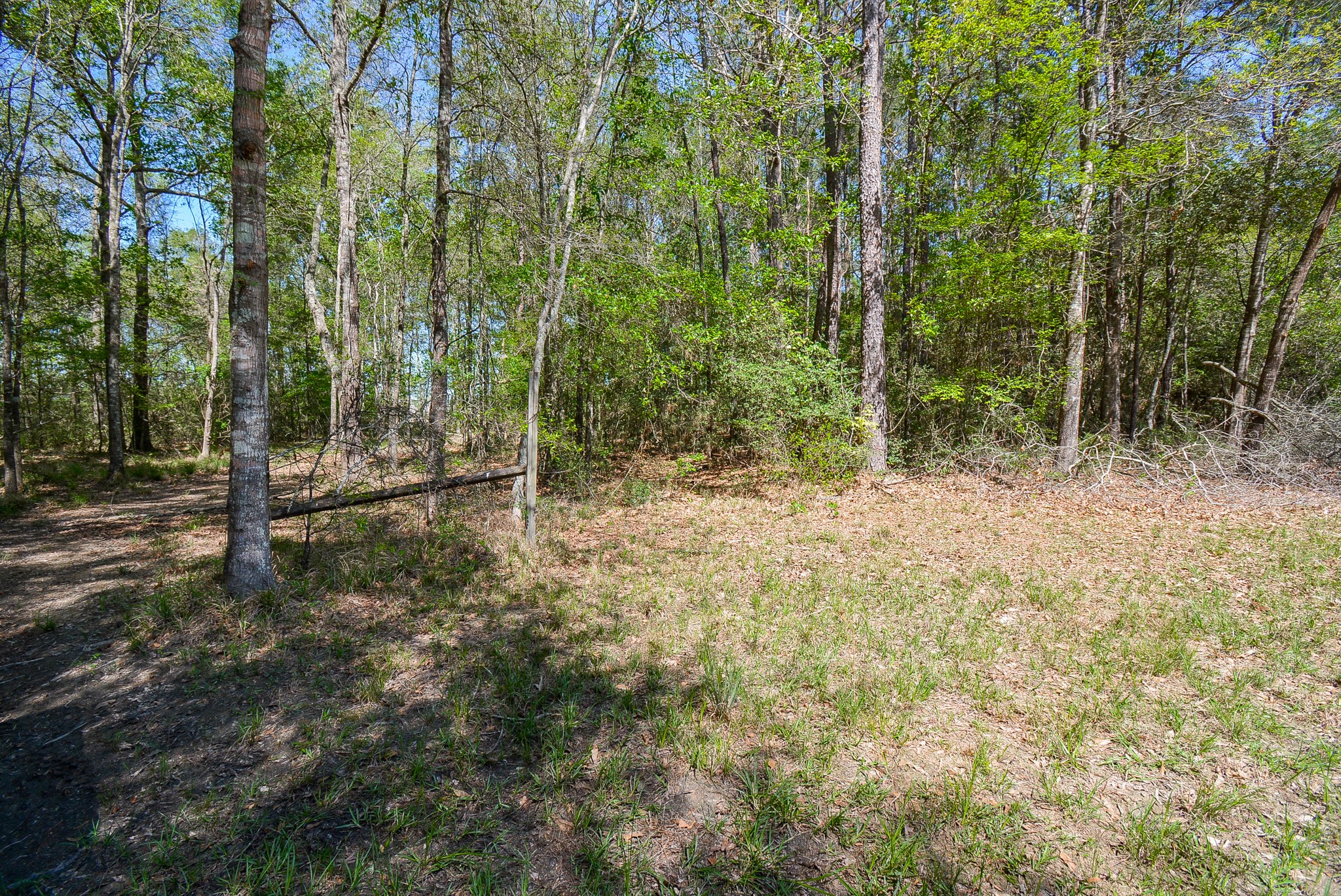 Tbd Rainbow Lane Property Photo 13