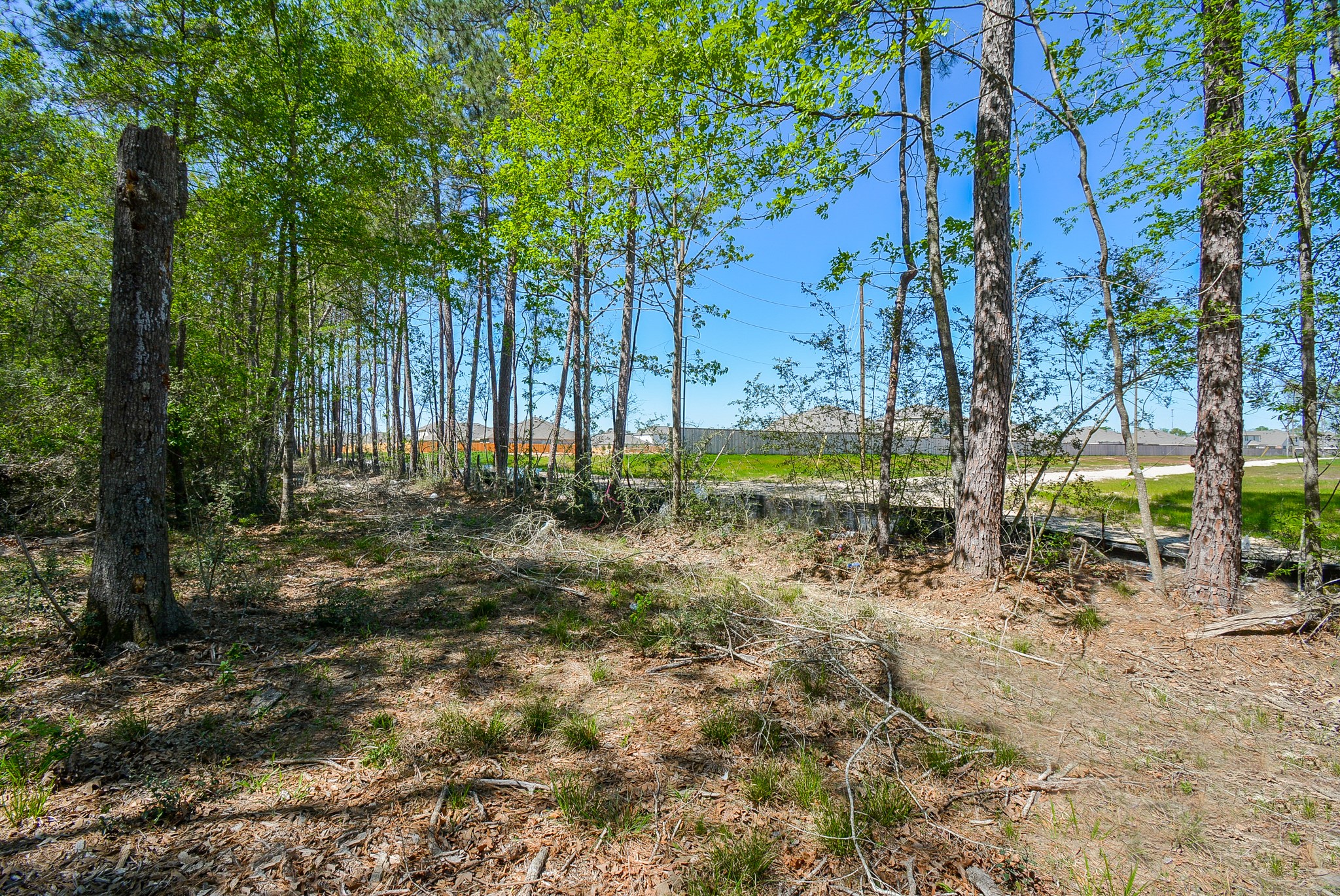 Tbd Rainbow Lane Property Photo 14