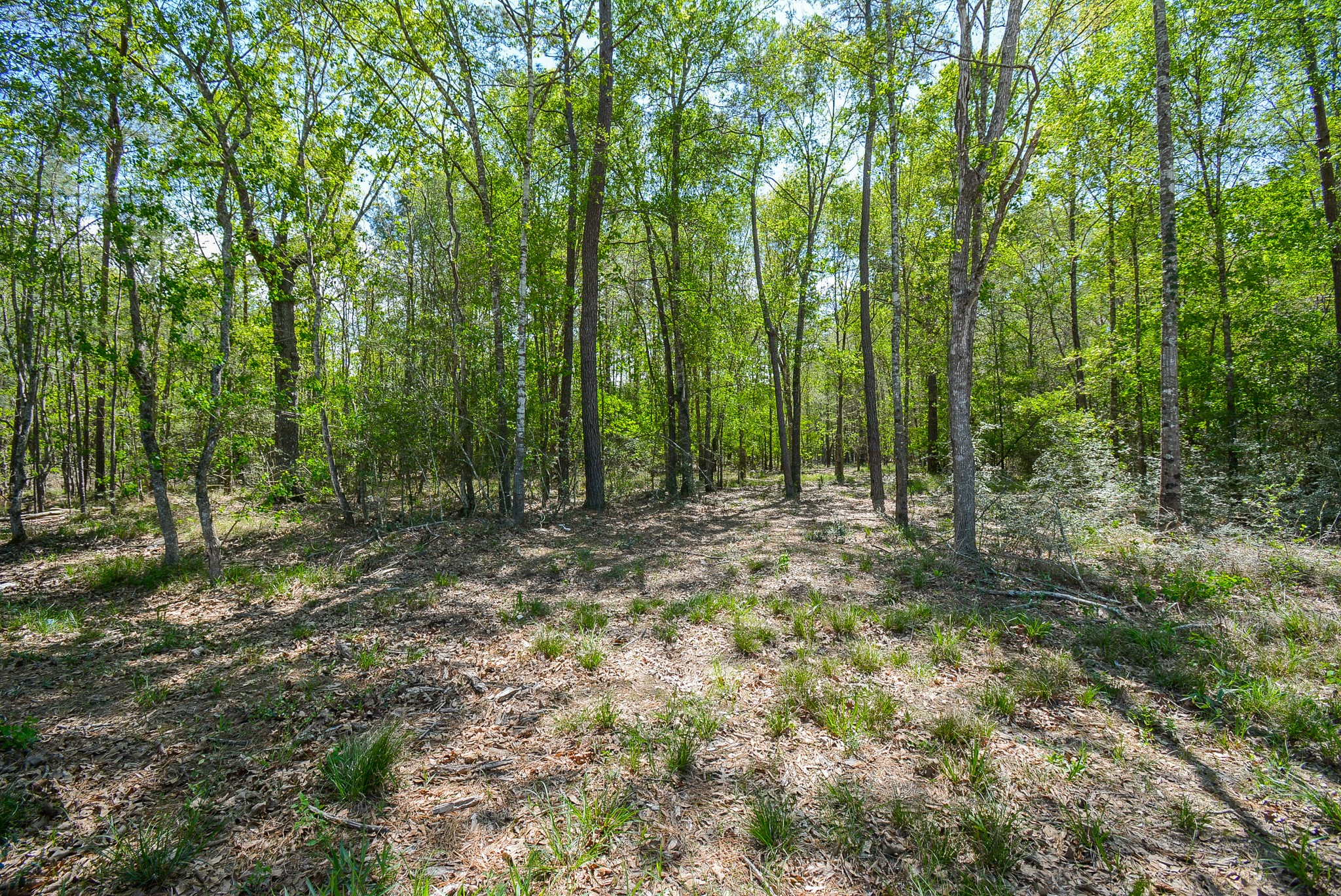 Tbd Rainbow Lane Property Photo 15