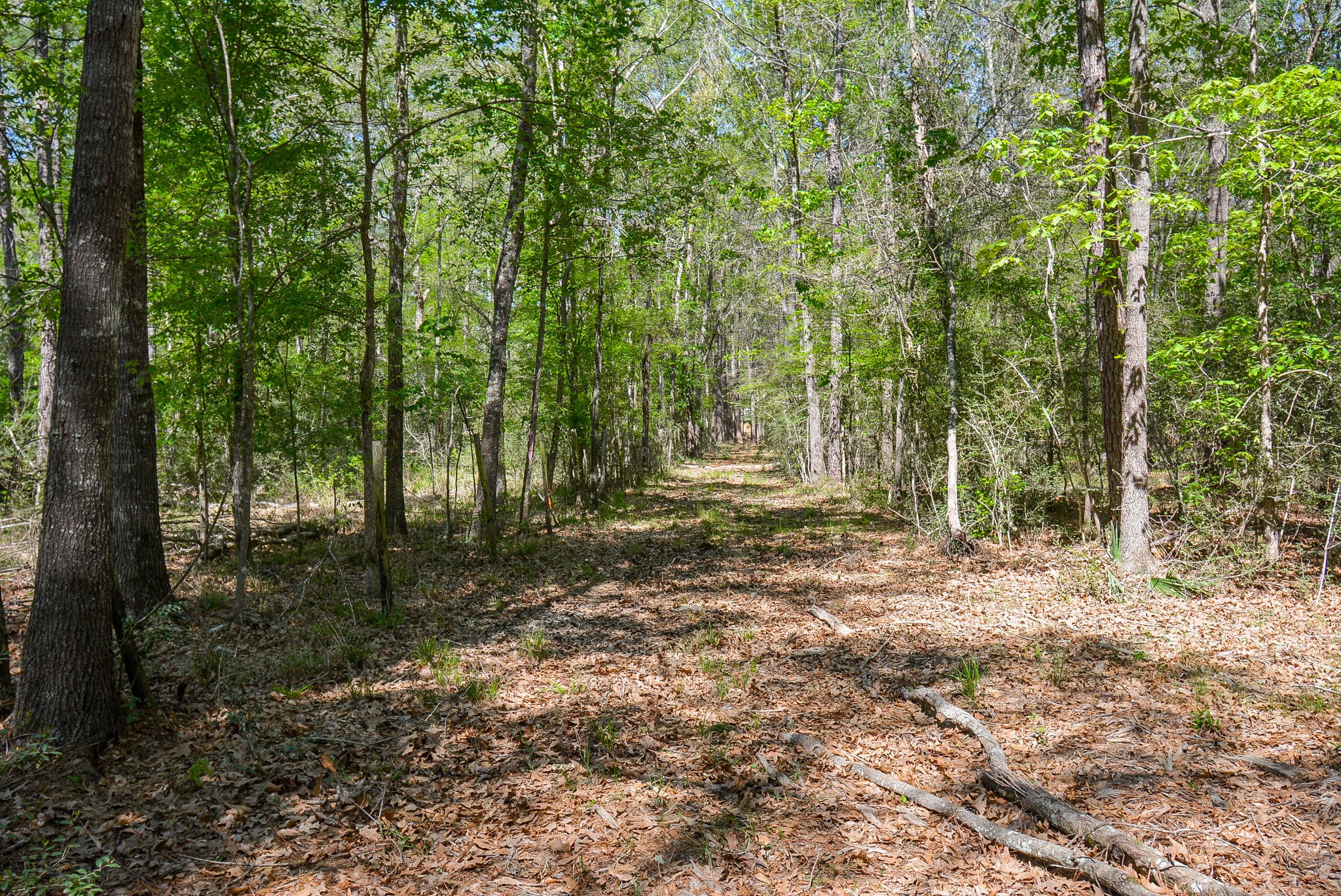 Tbd Rainbow Lane Property Photo 17