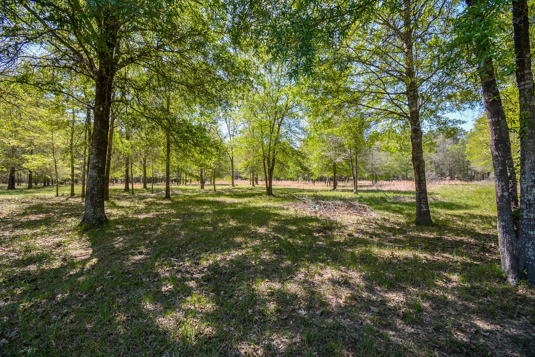 Tbd Rainbow Lane Property Photo 18
