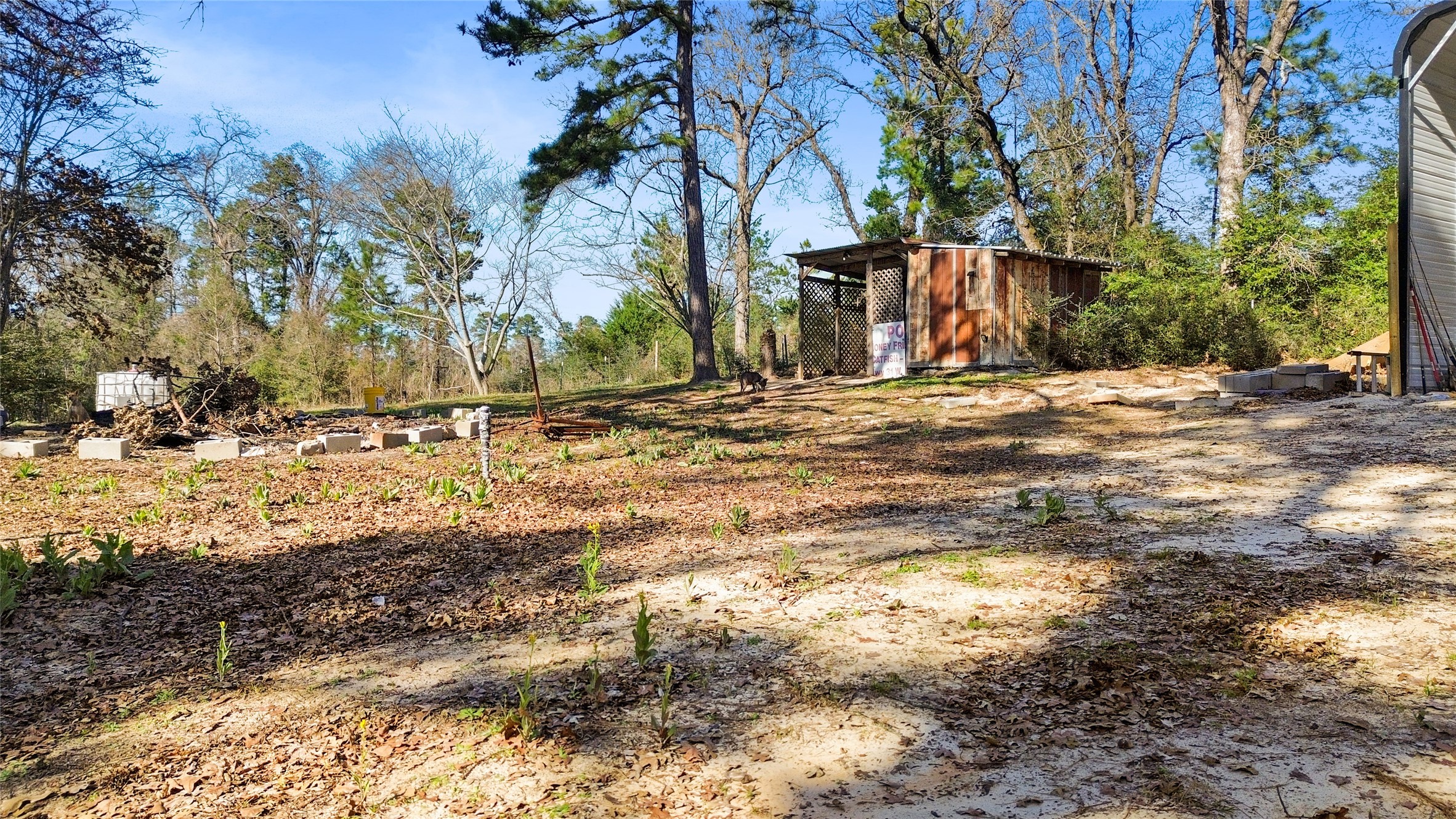 1291 E State Highway 294 Property Photo 21