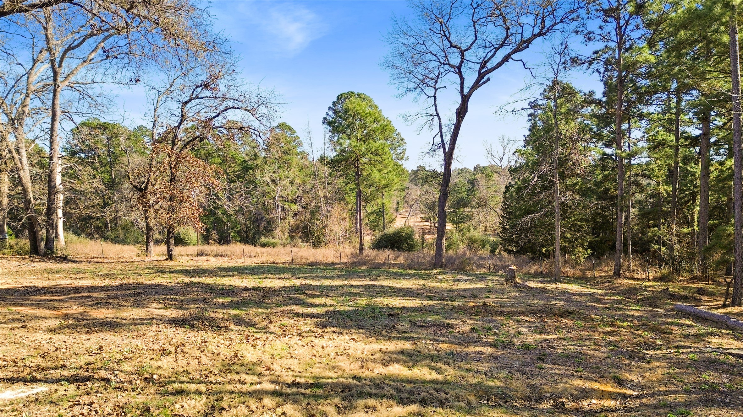 1291 E State Highway 294 Property Photo 23