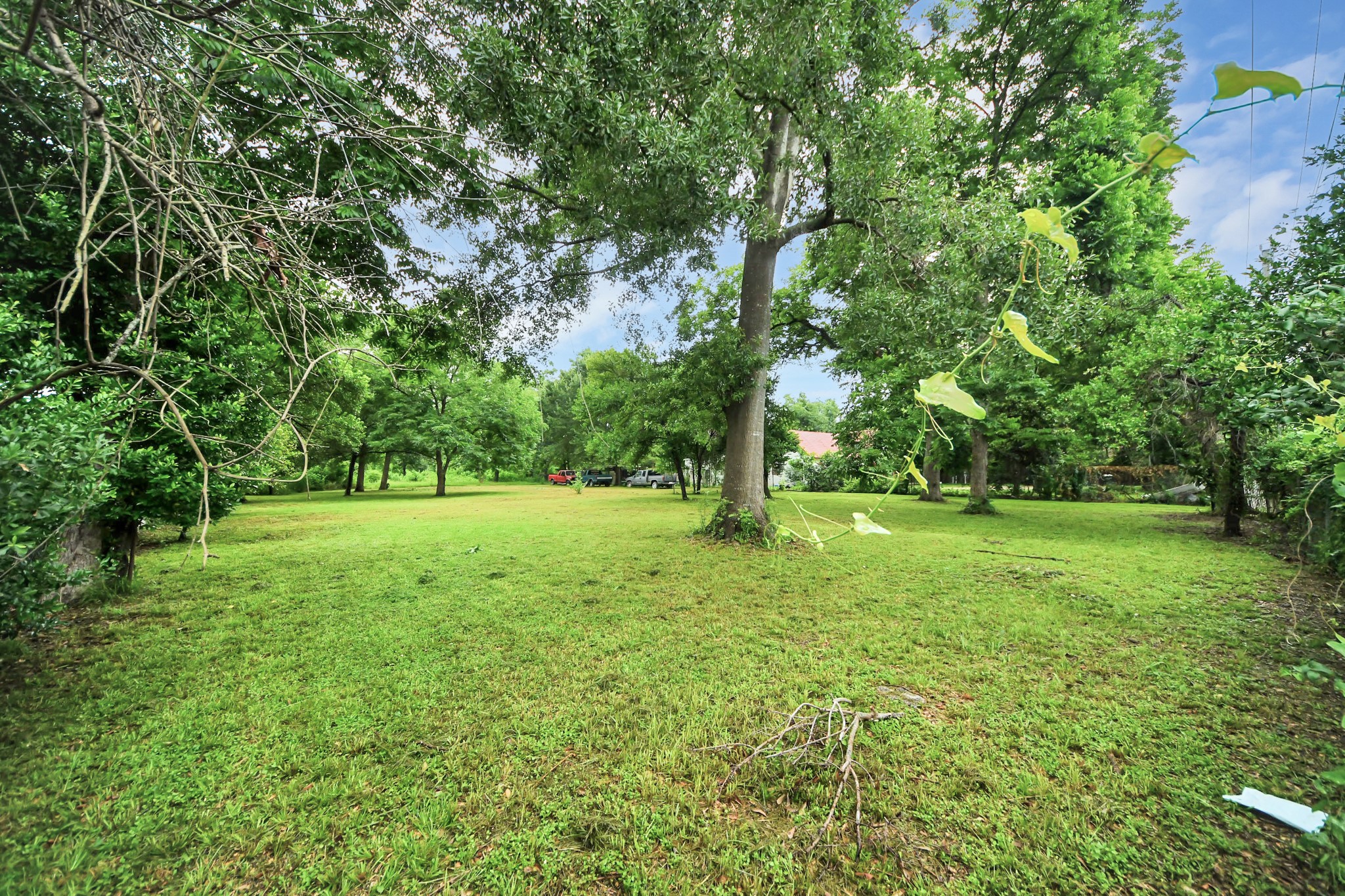 0 Stuebner Airline Property Photo 6
