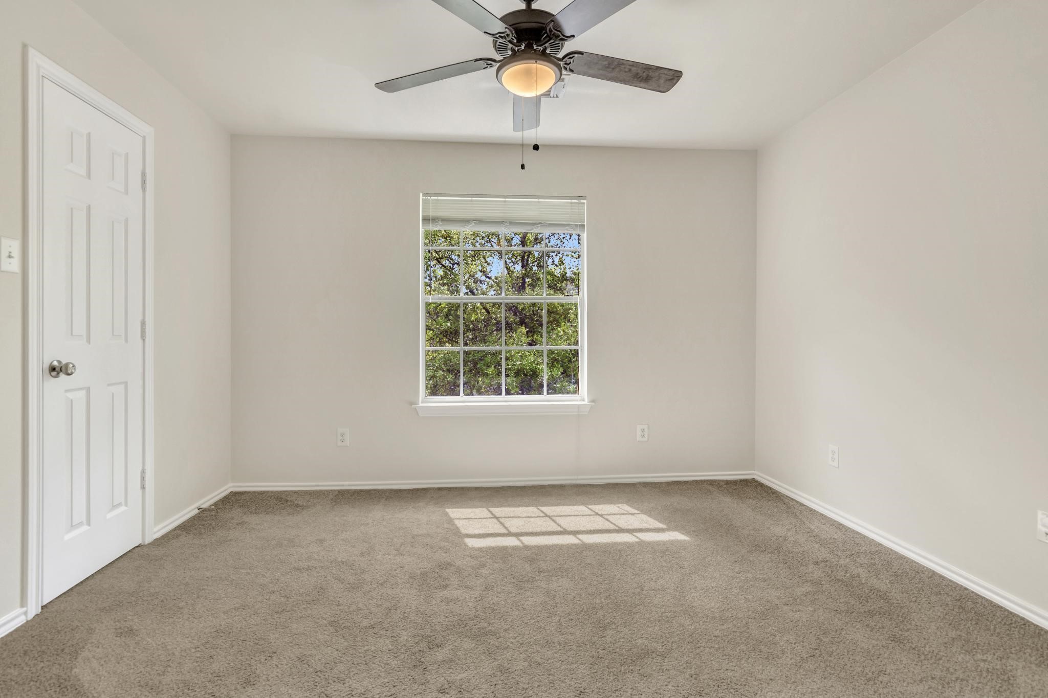 39 Camellia Grove Circle Property Photo 14