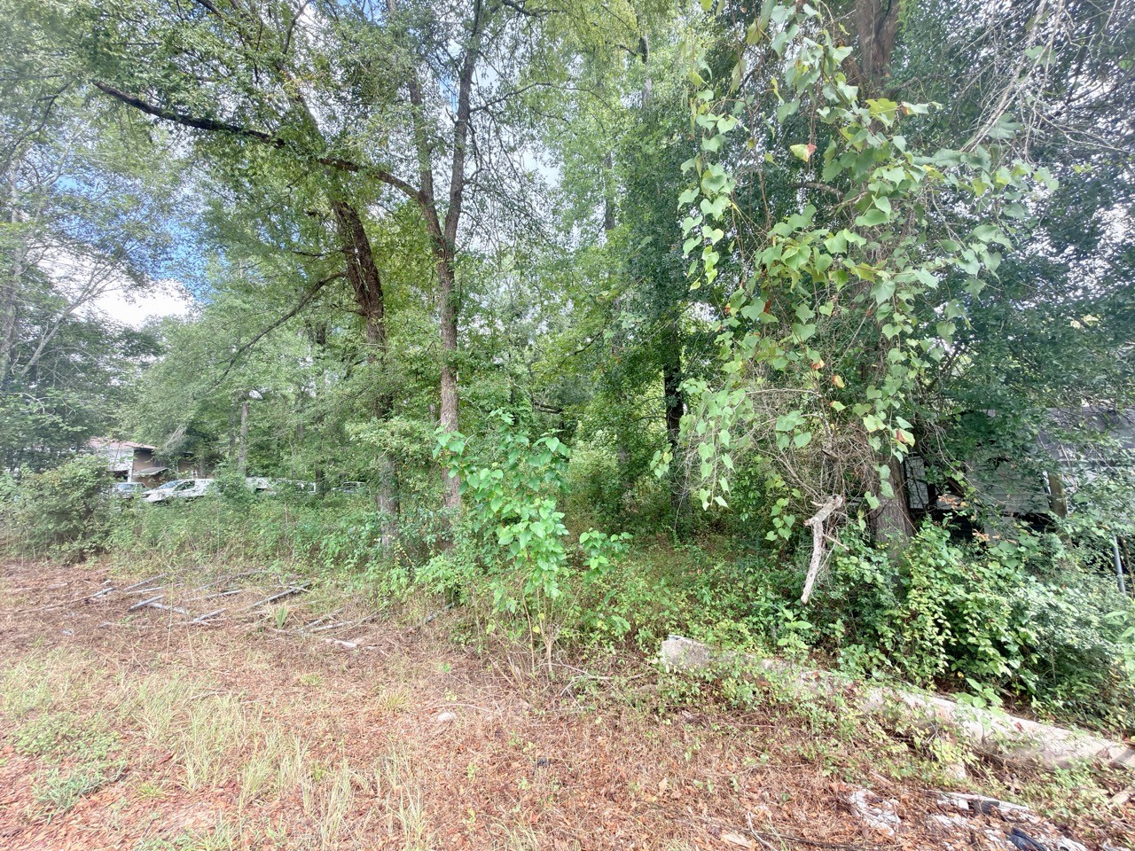 10839 River Dr Property Photo 7