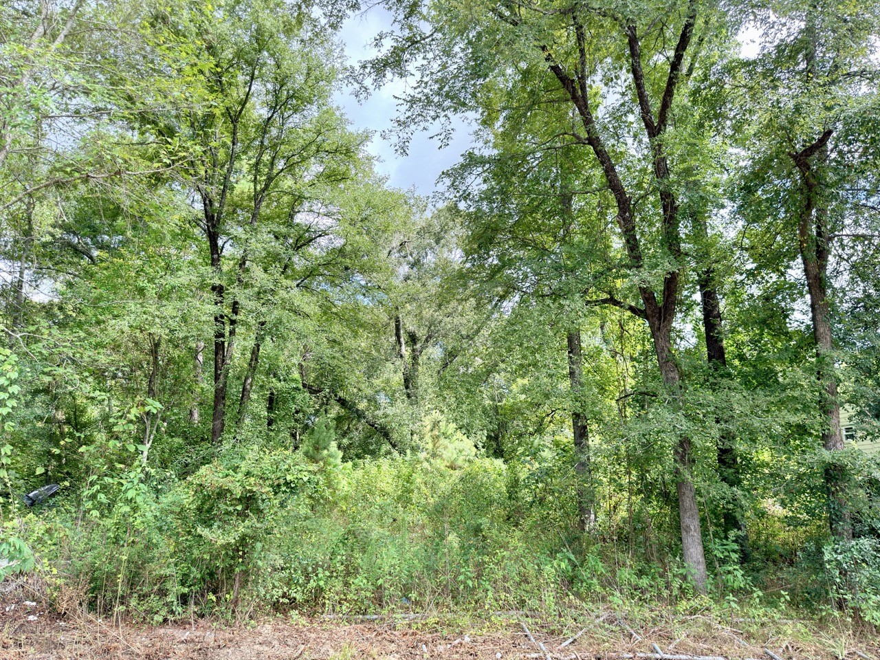 10839 River Dr Property Photo 9