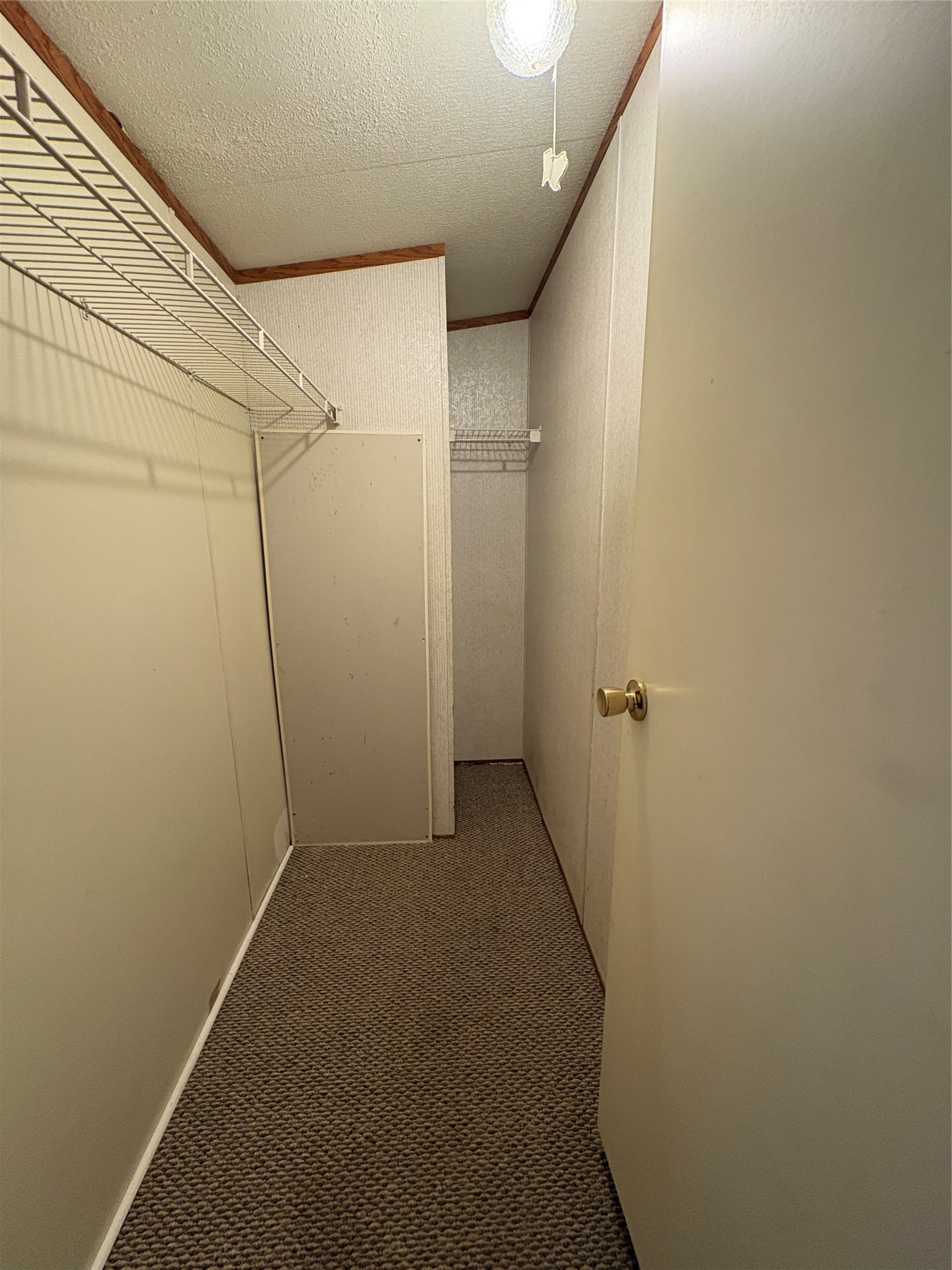 12619 Lazy Cove Drive Property Photo 14