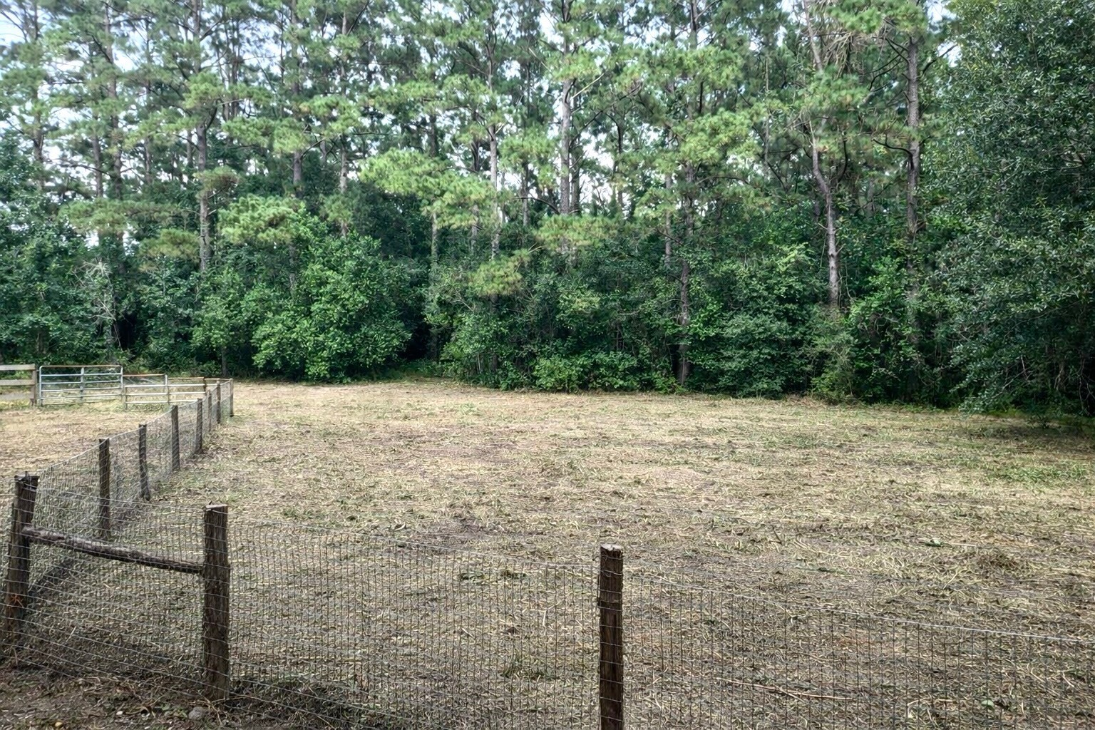 15399 Memorial Drive Property Photo 4