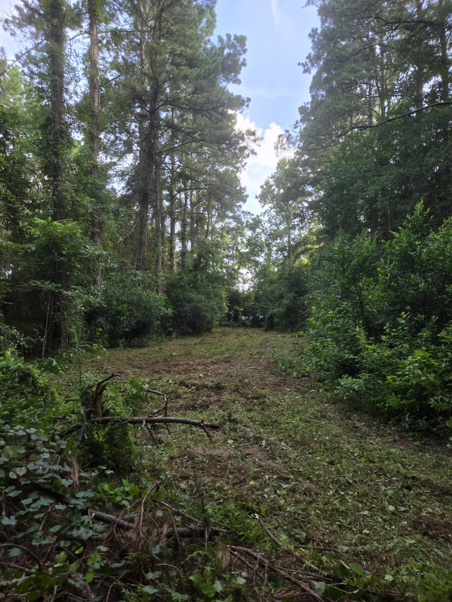 15399 Memorial Drive Property Photo 5