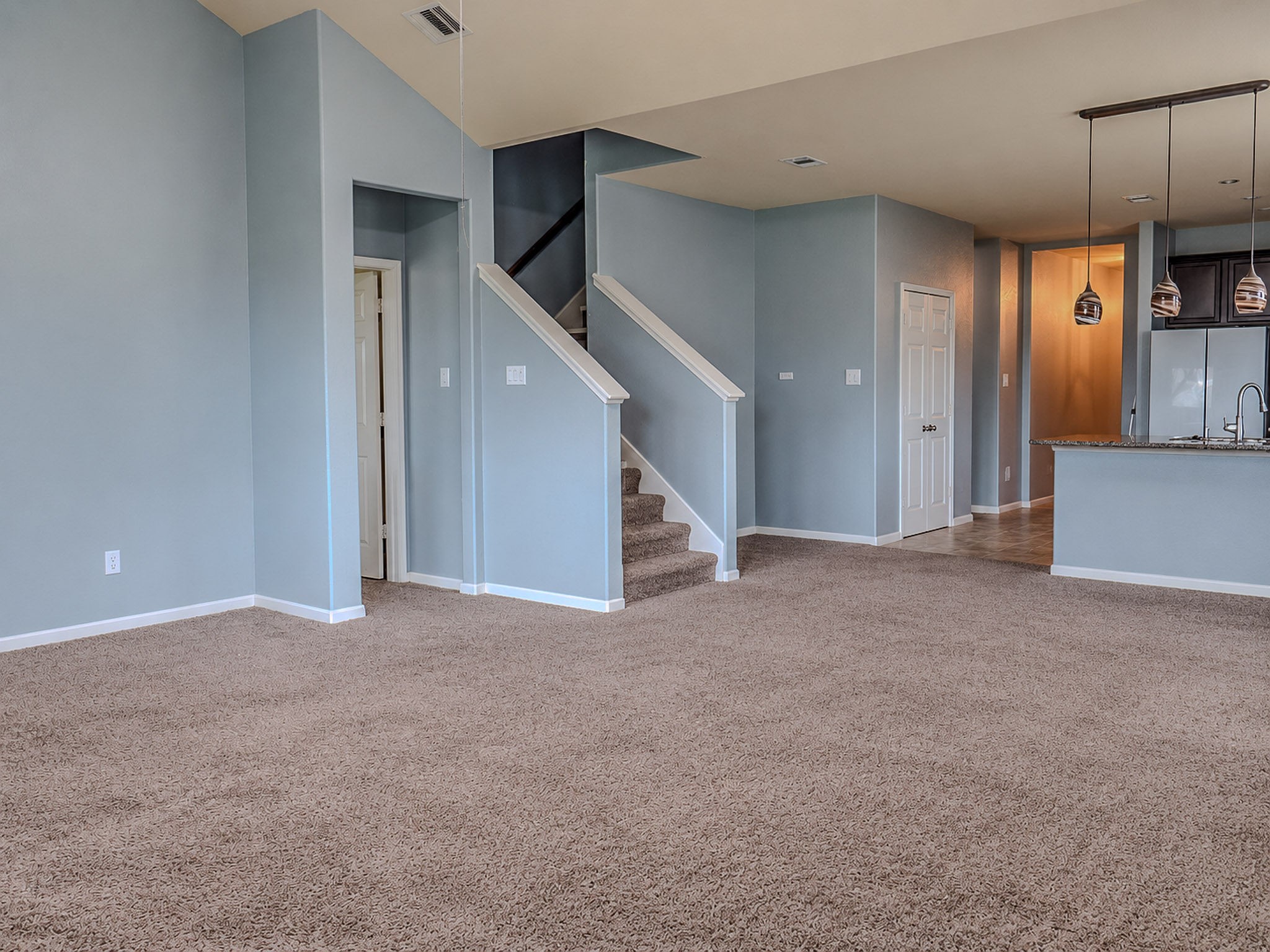 12559 Colony Hill Lane Property Photo 6